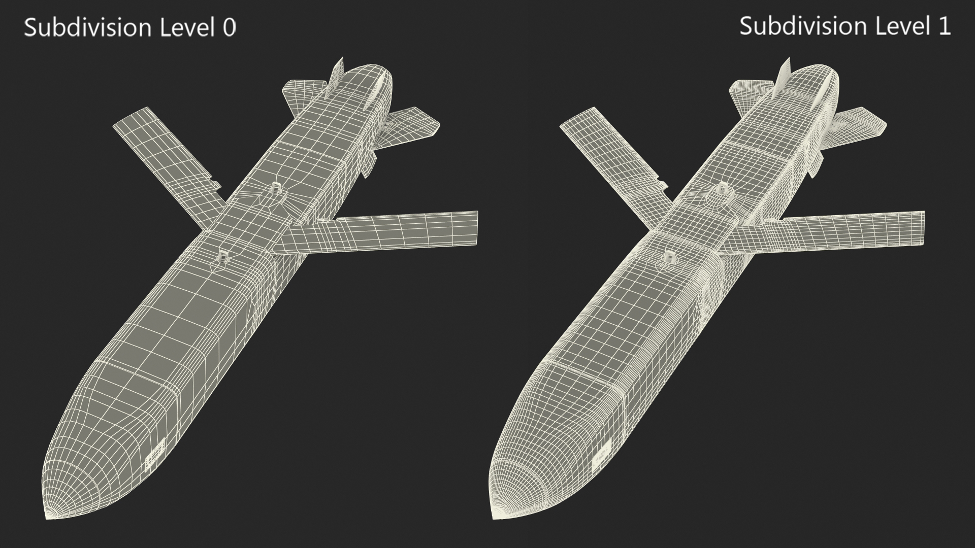 British French Air Launched Cruise Missile 3D