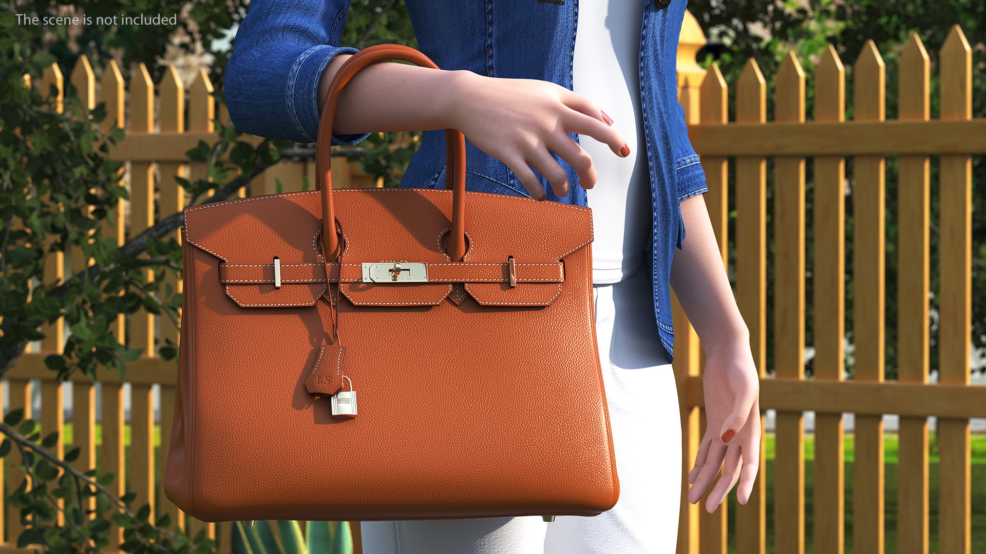 Asian Street Fashion Woman with Hermes Birkin Bag 3D model