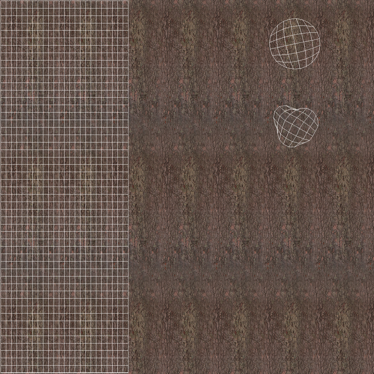 Serbian Spruce 3D model