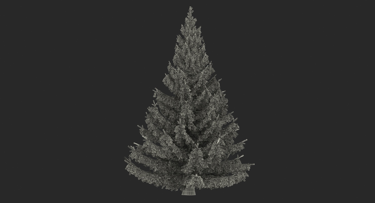 Serbian Spruce 3D model