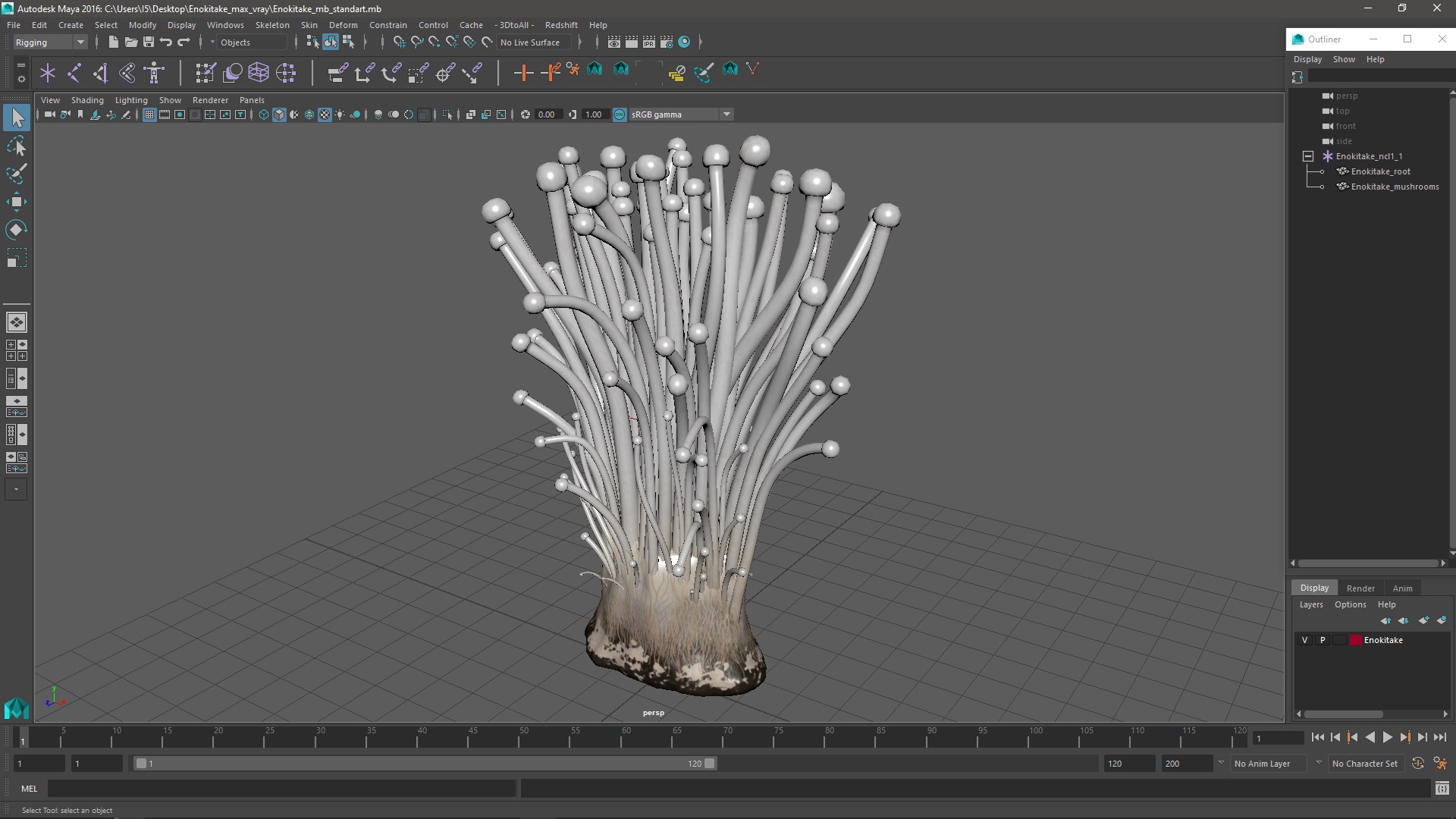 Enokitake 3D model