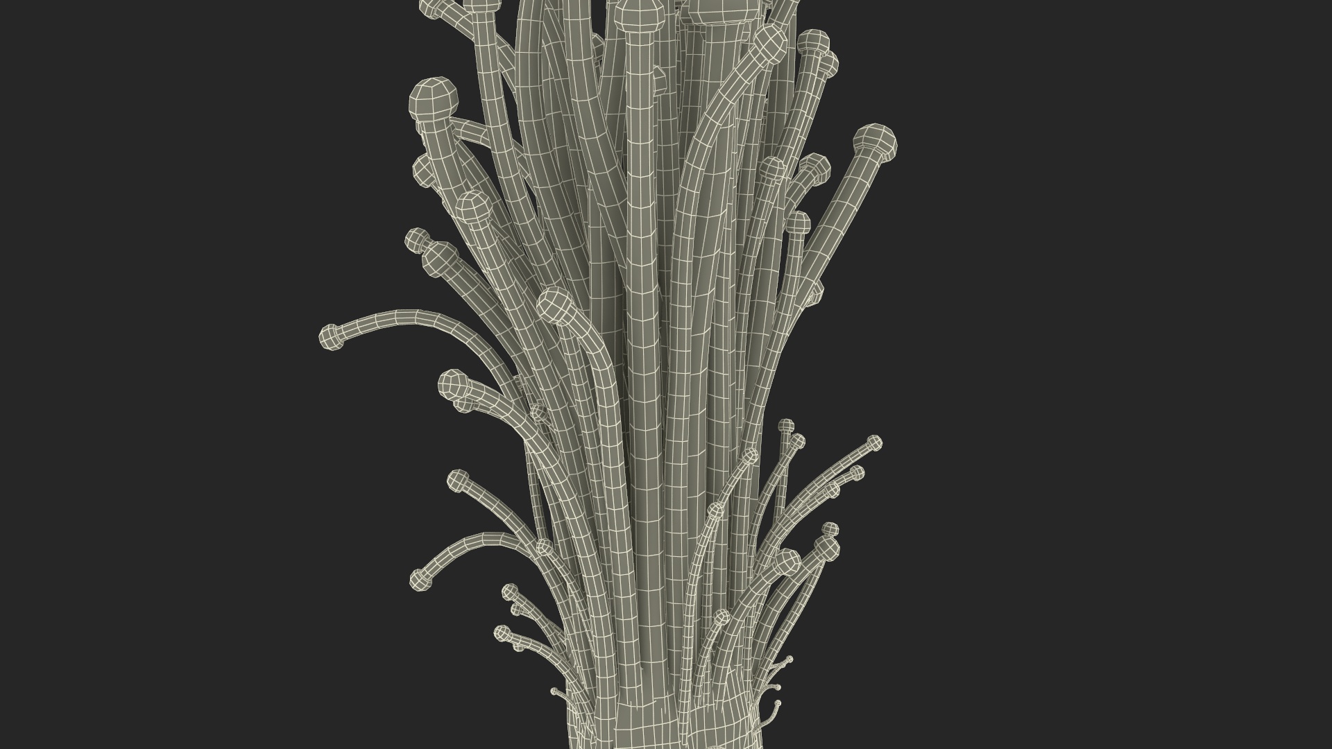 Enokitake 3D model