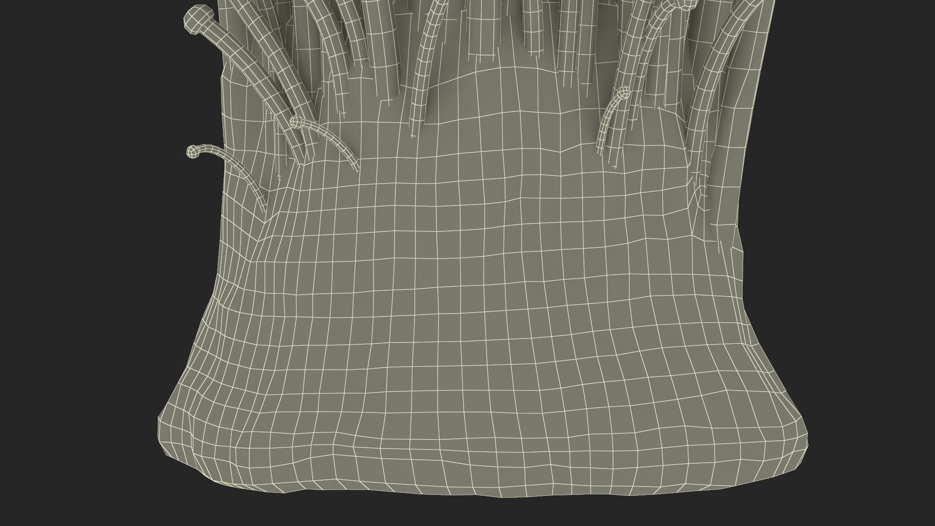 Enokitake 3D model