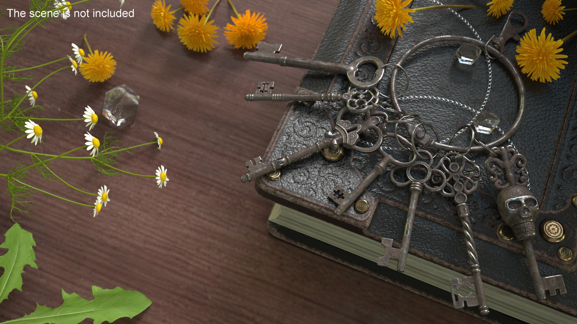 3D model Skeleton Keys Bunch Steel