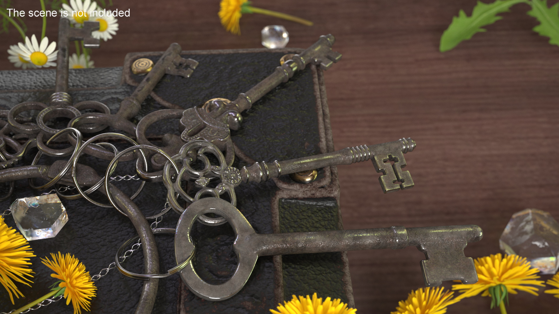 3D model Skeleton Keys Bunch Steel
