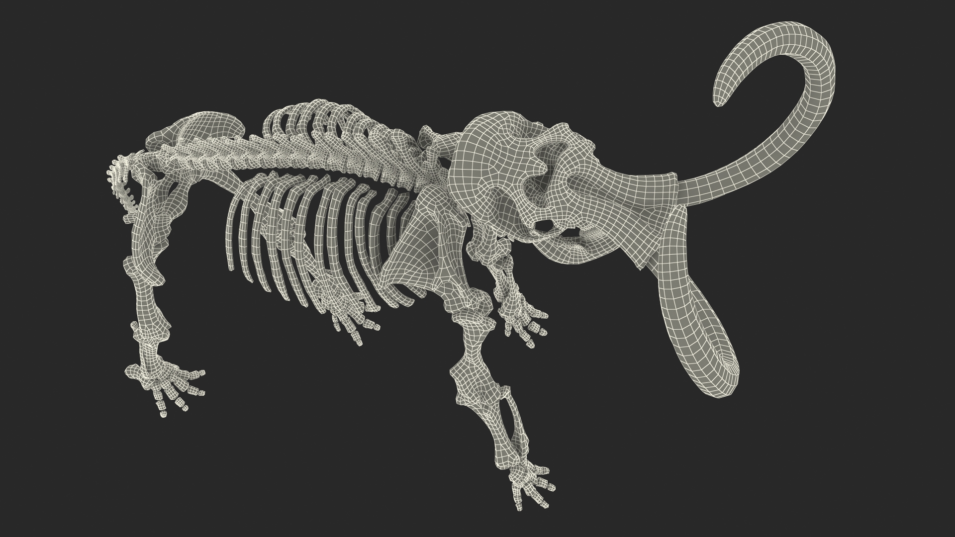 Adult Mammoth Clean Skeleton Shell Roar 3D model