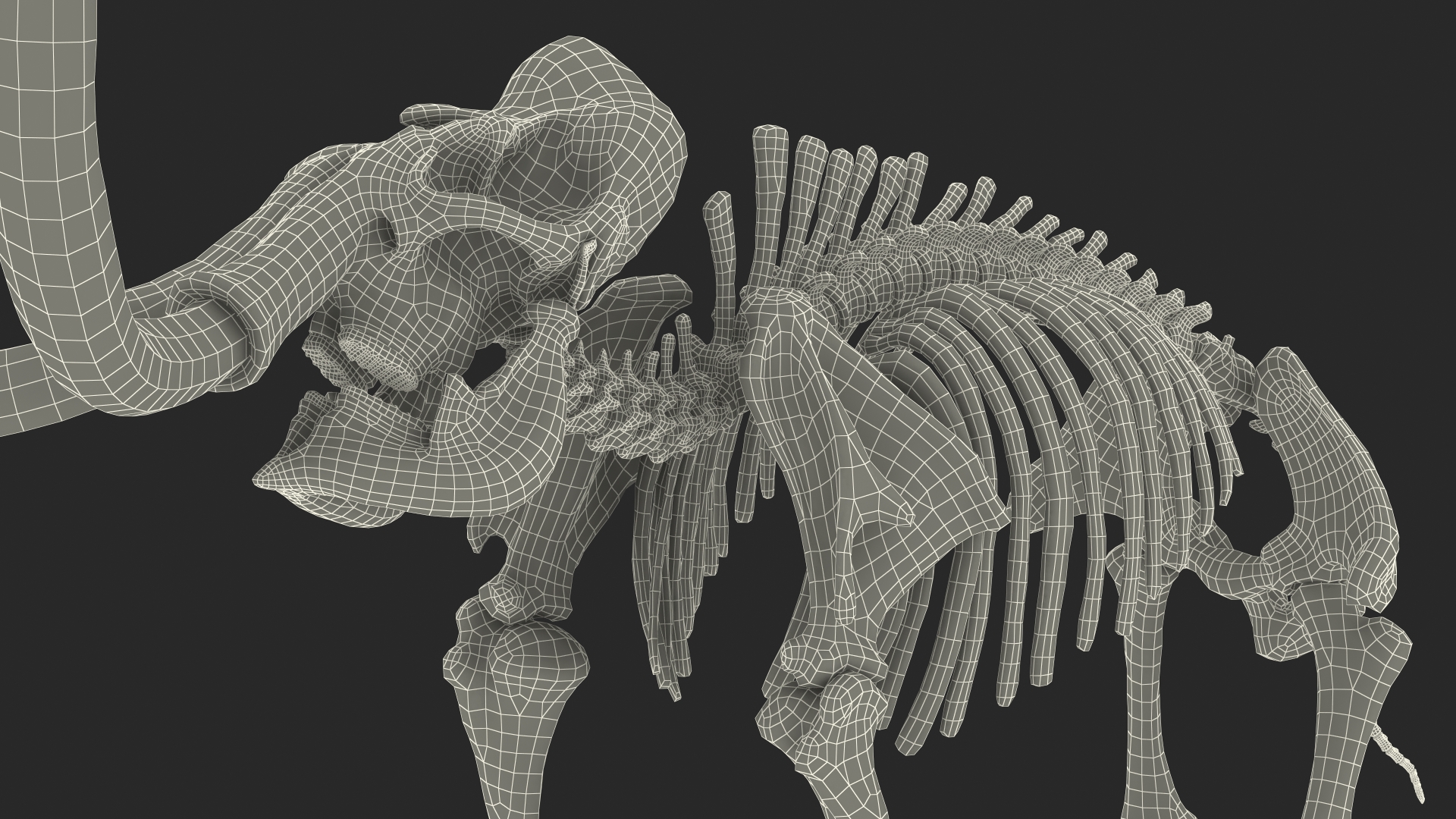 Adult Mammoth Clean Skeleton Shell Roar 3D model