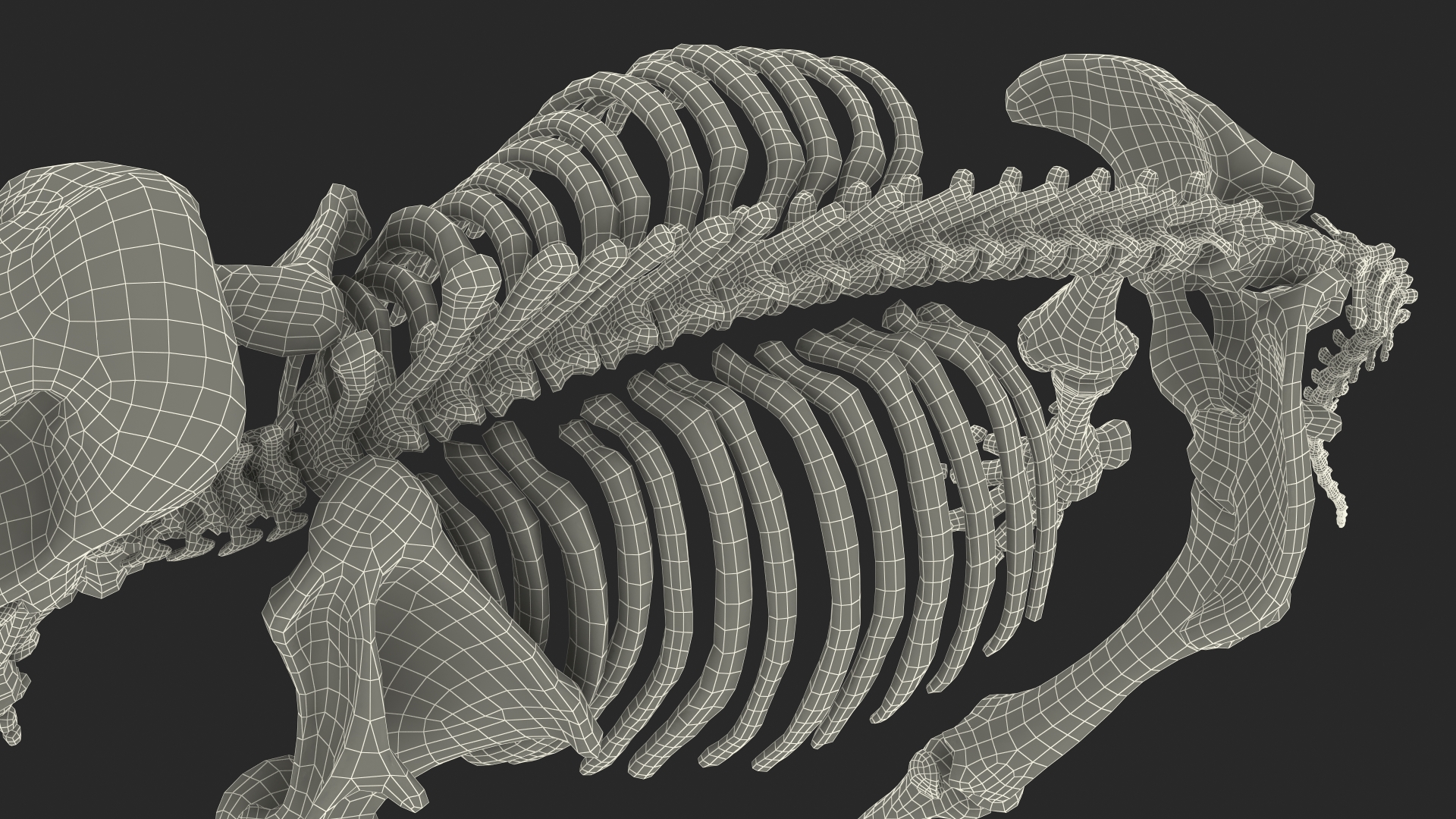 Adult Mammoth Clean Skeleton Shell Roar 3D model
