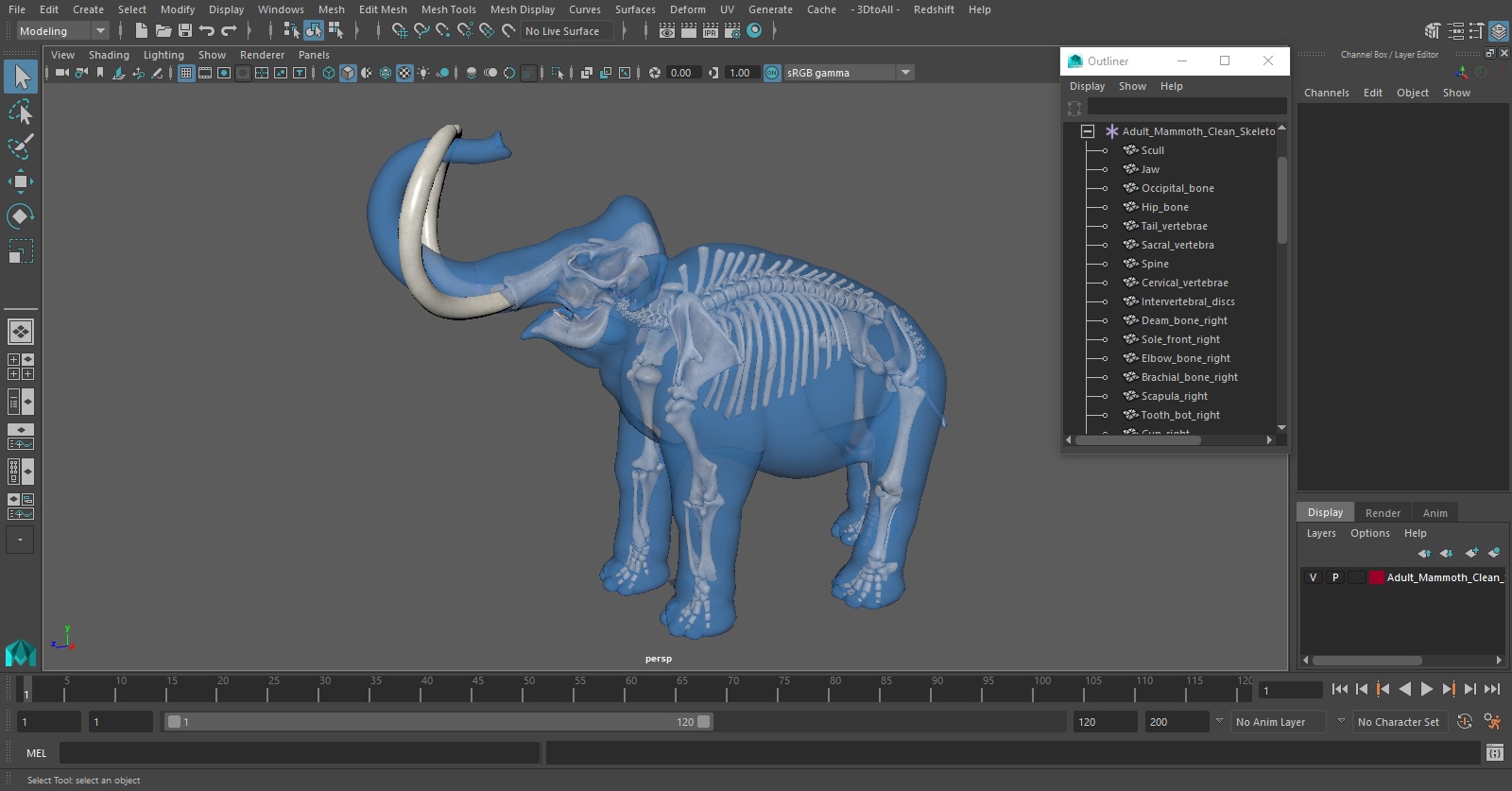Adult Mammoth Clean Skeleton Shell Roar 3D model