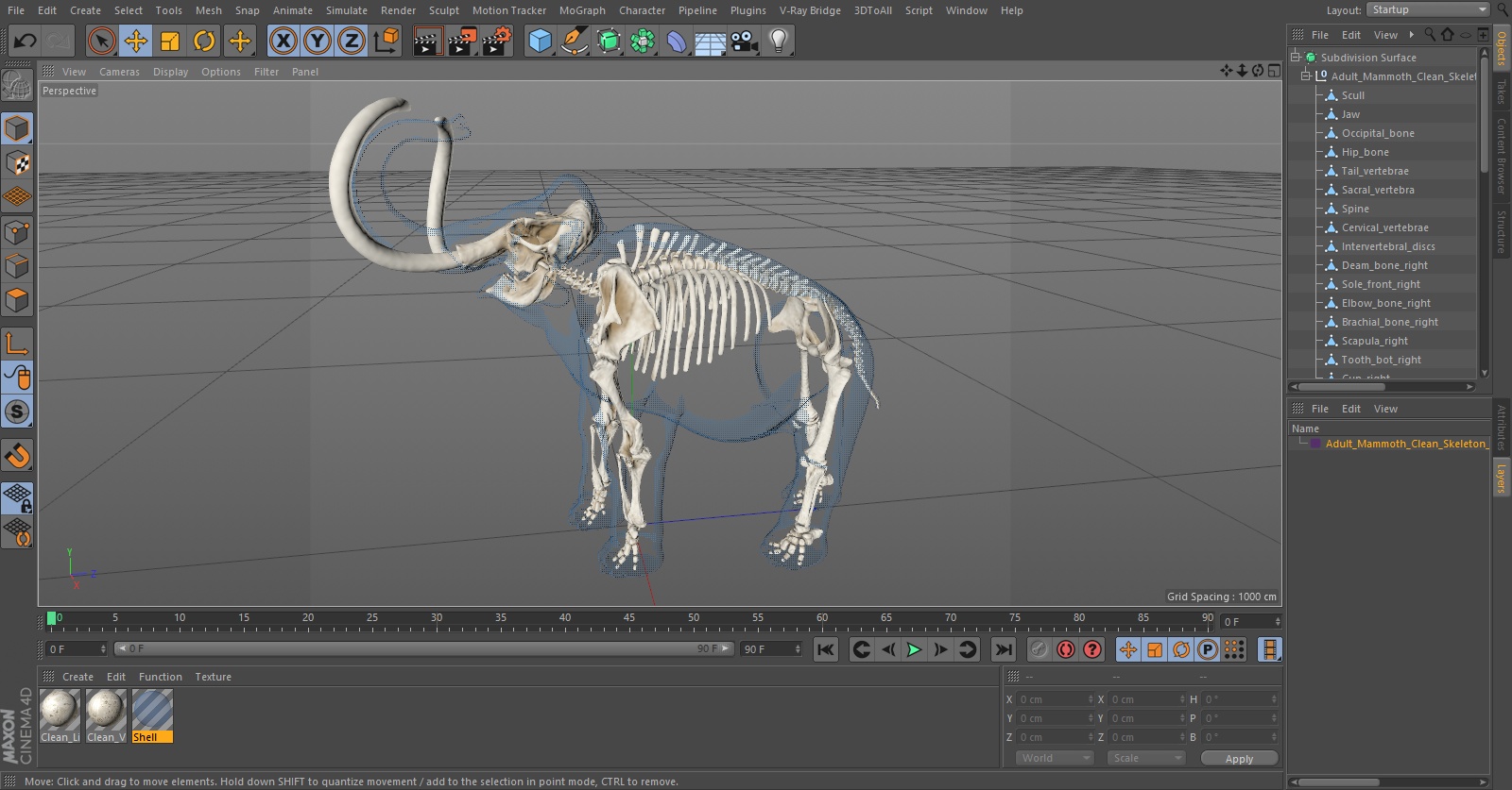Adult Mammoth Clean Skeleton Shell Roar 3D model