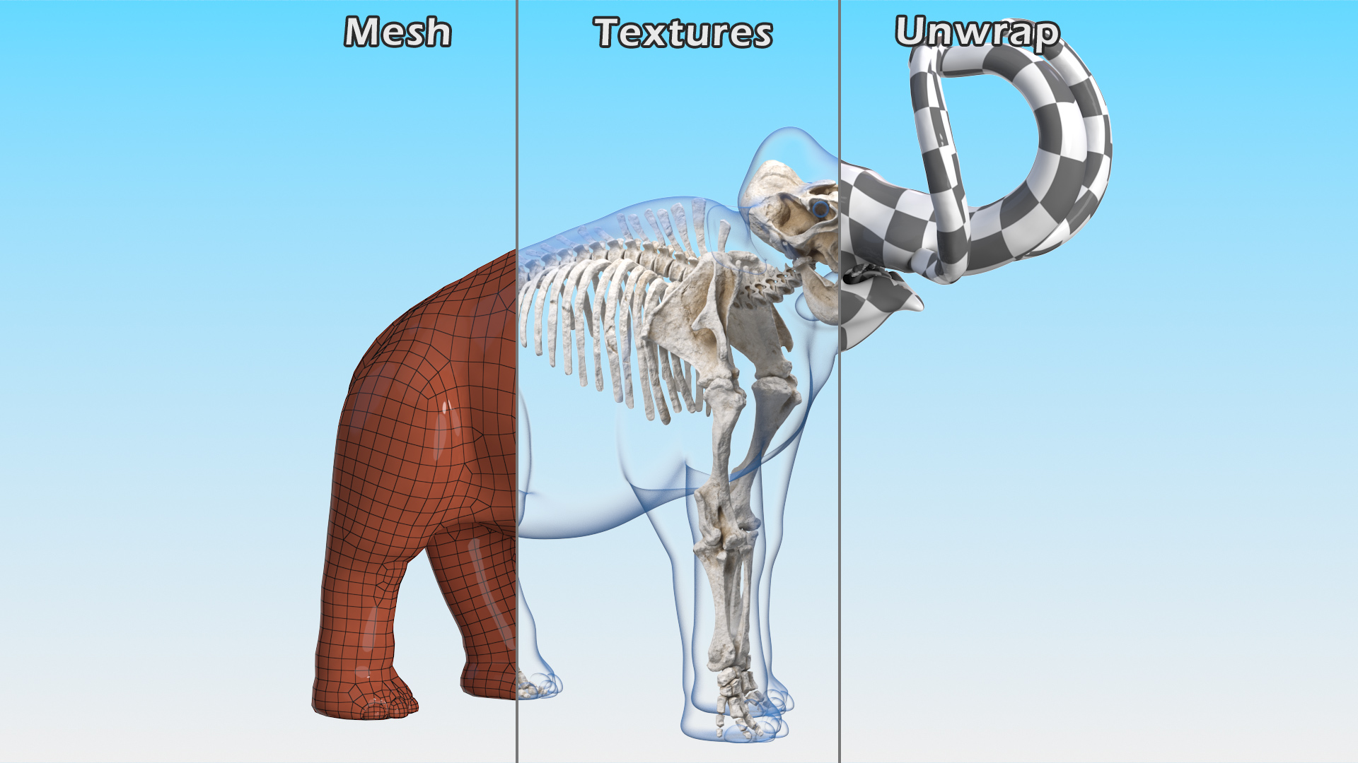 Adult Mammoth Clean Skeleton Shell Roar 3D model