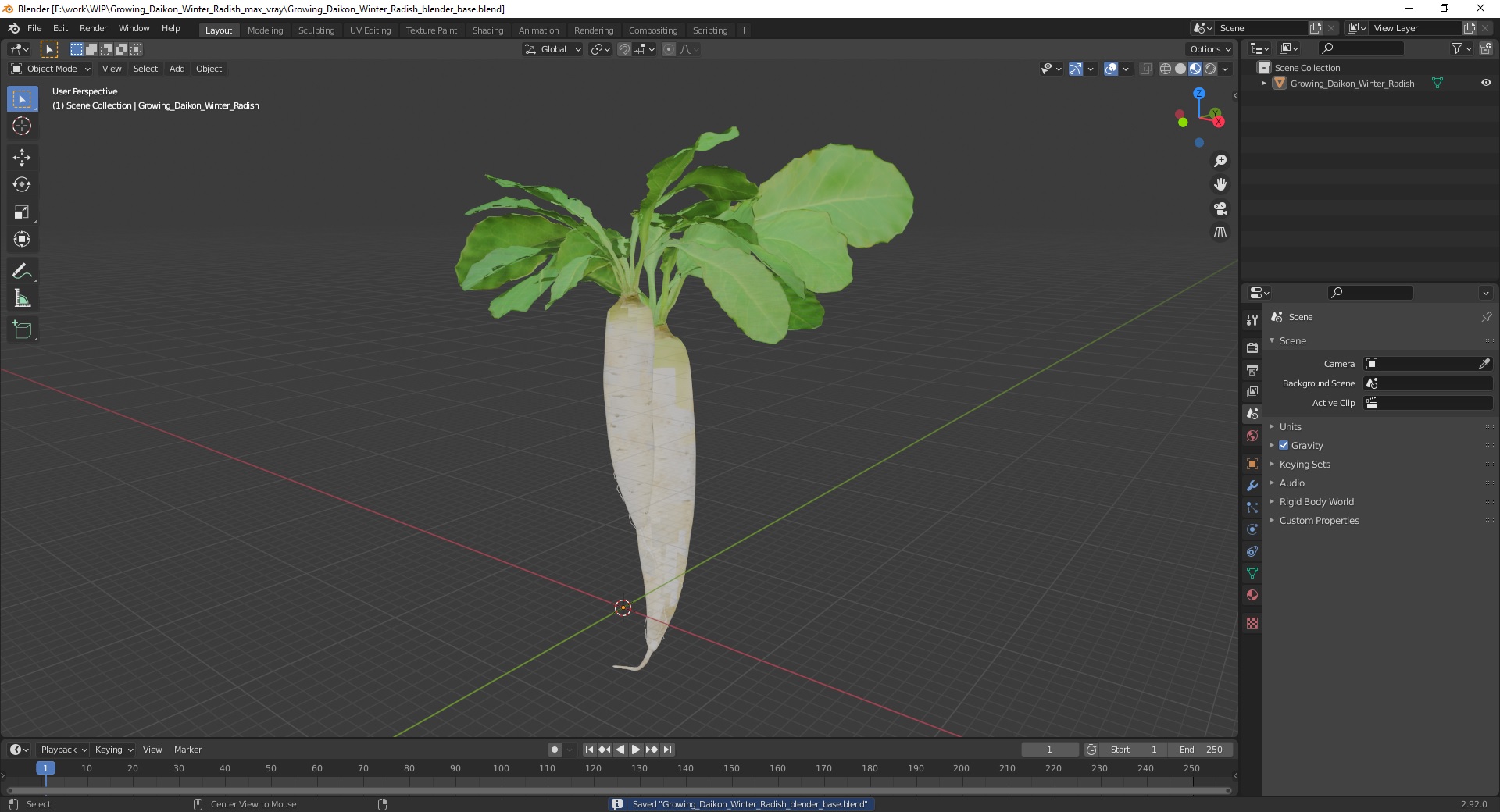 3D Growing Daikon Winter Radish model