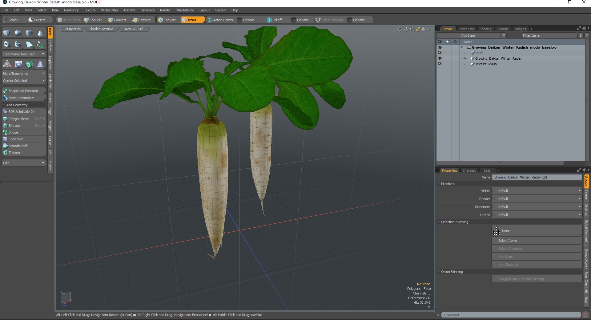 3D Growing Daikon Winter Radish model
