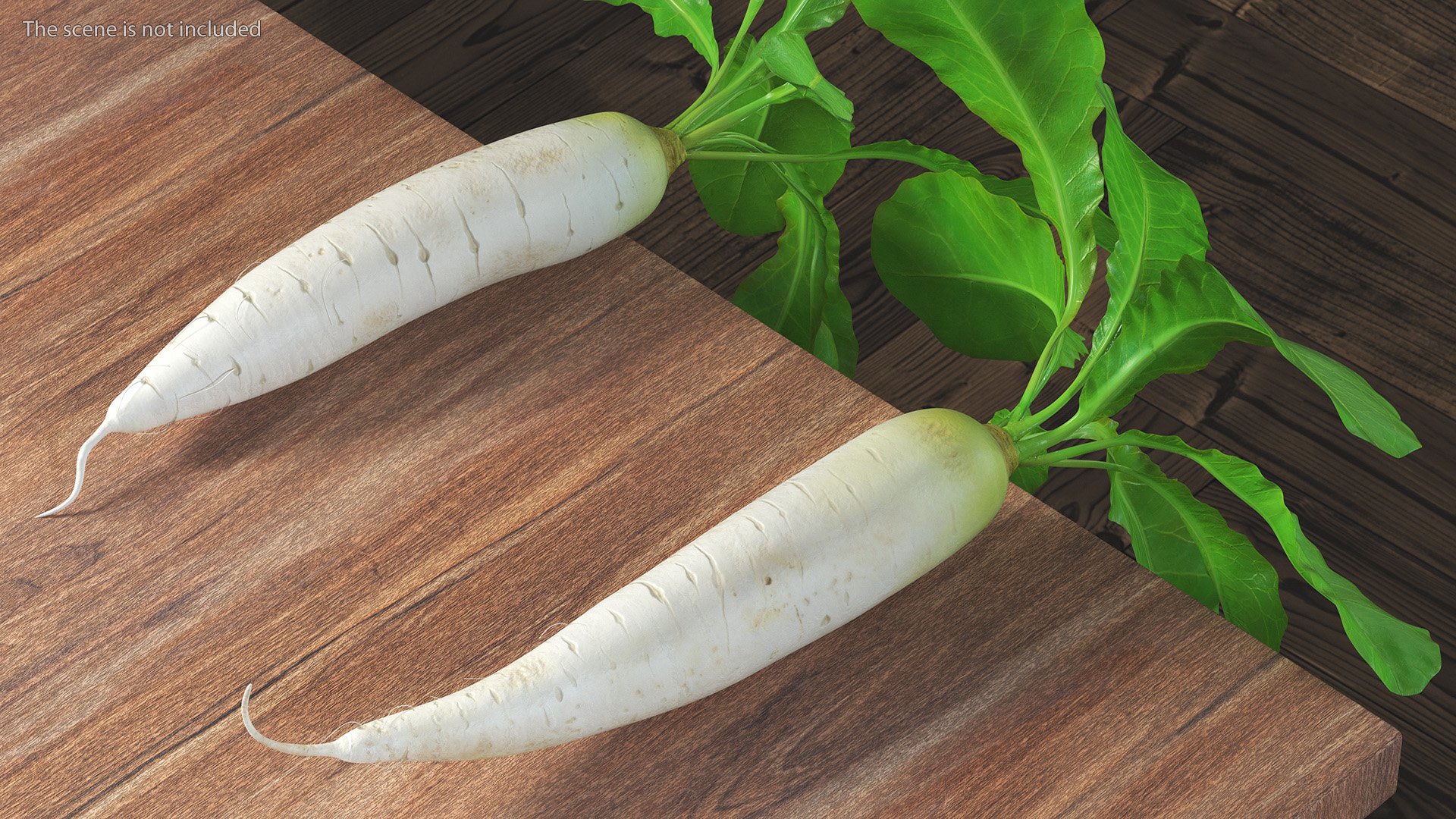 3D Growing Daikon Winter Radish model