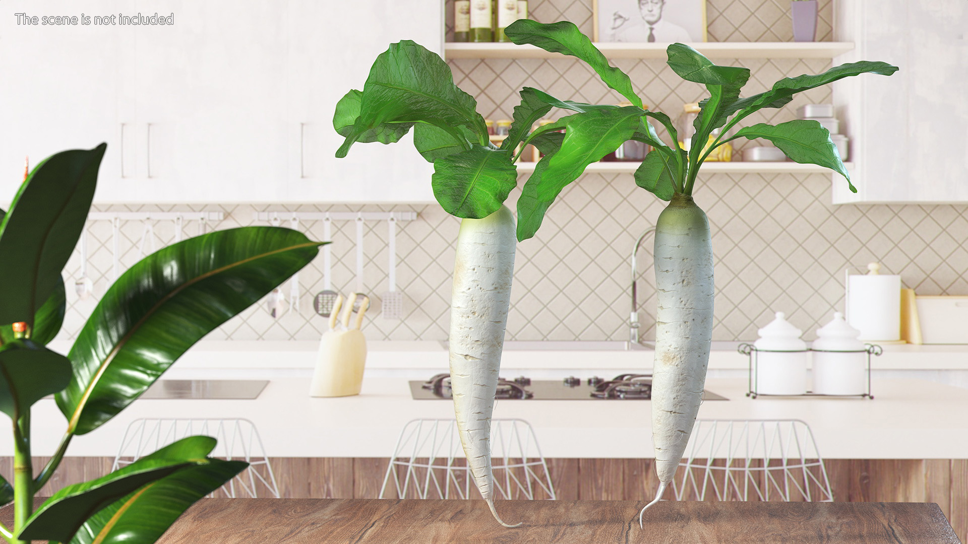 3D Growing Daikon Winter Radish model