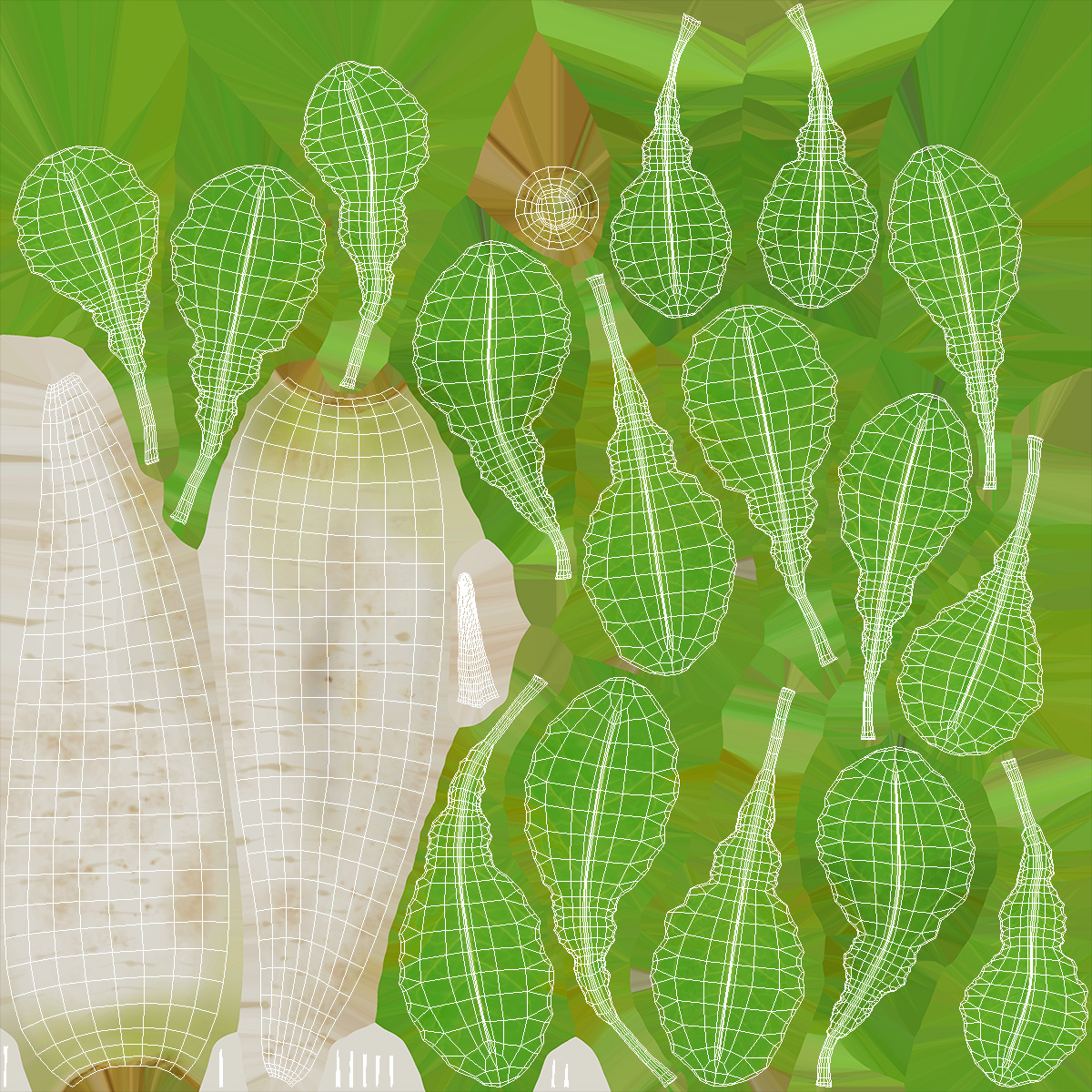 3D Growing Daikon Winter Radish model
