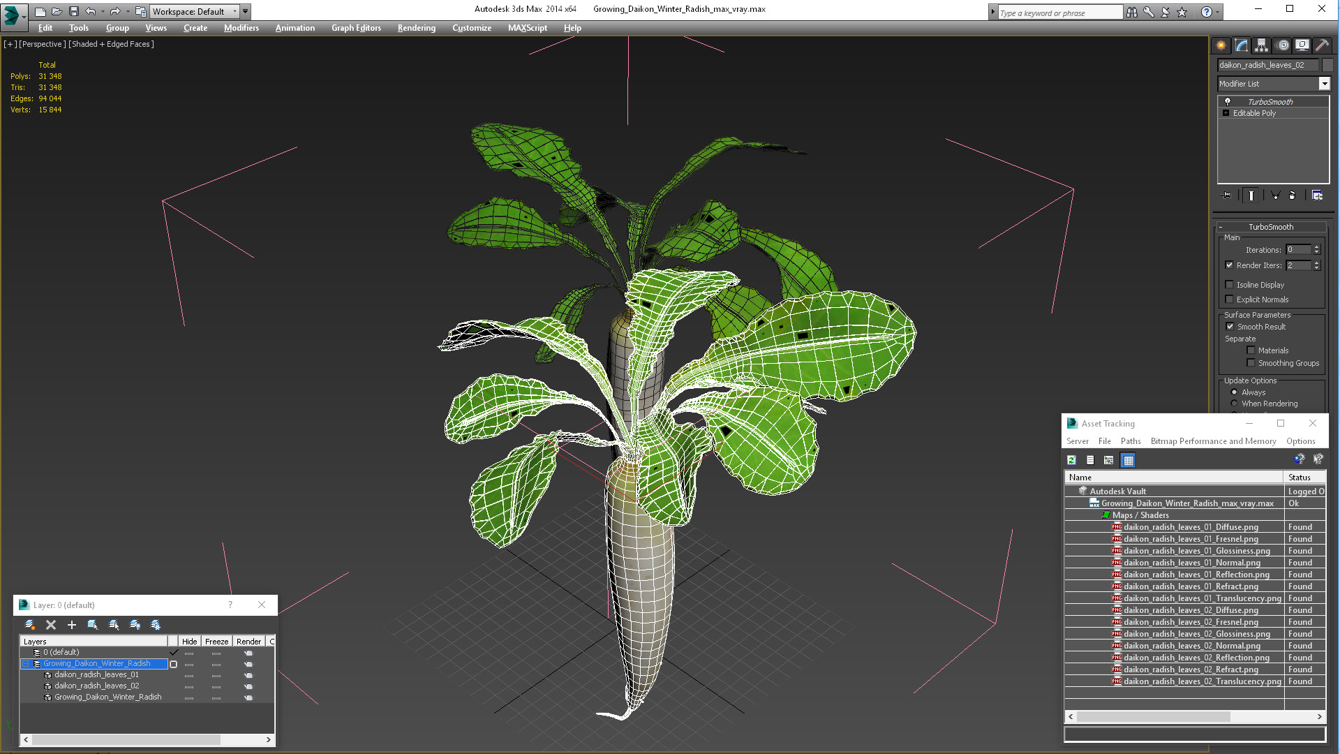 3D Growing Daikon Winter Radish model