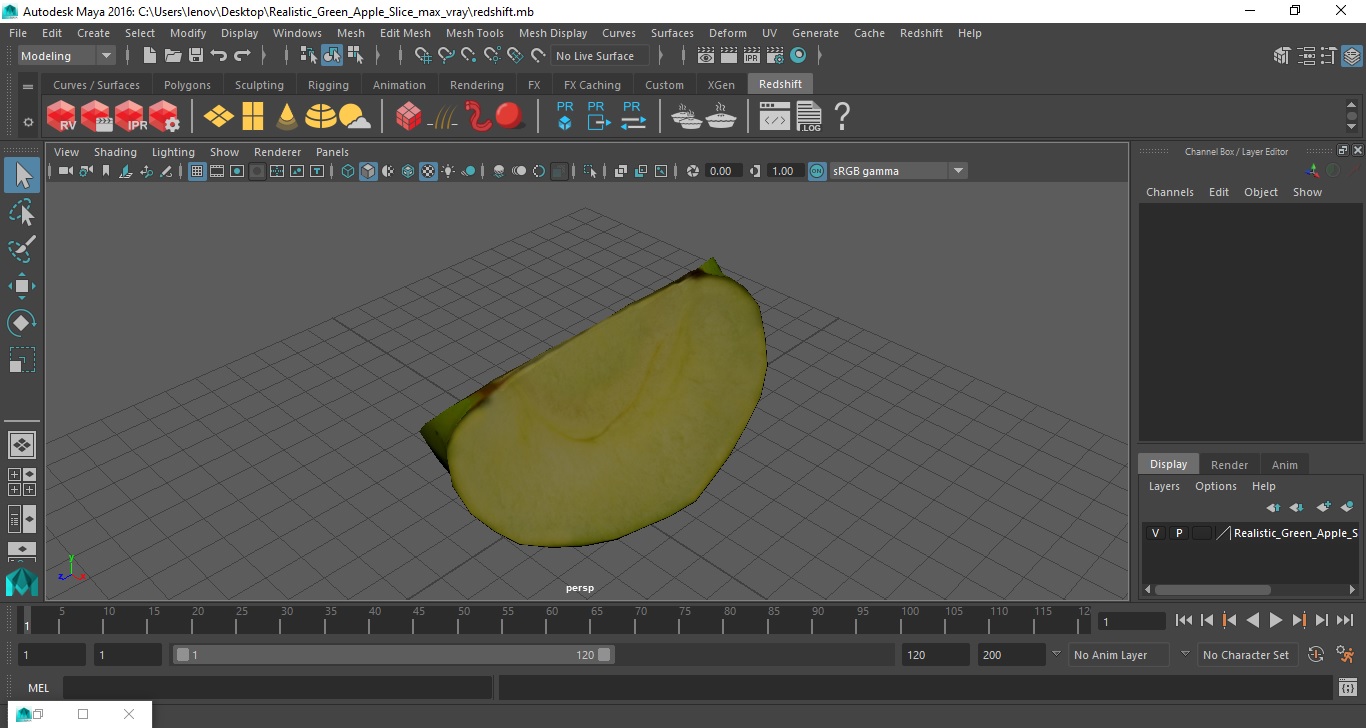 Realistic Green Apple Slice 3D