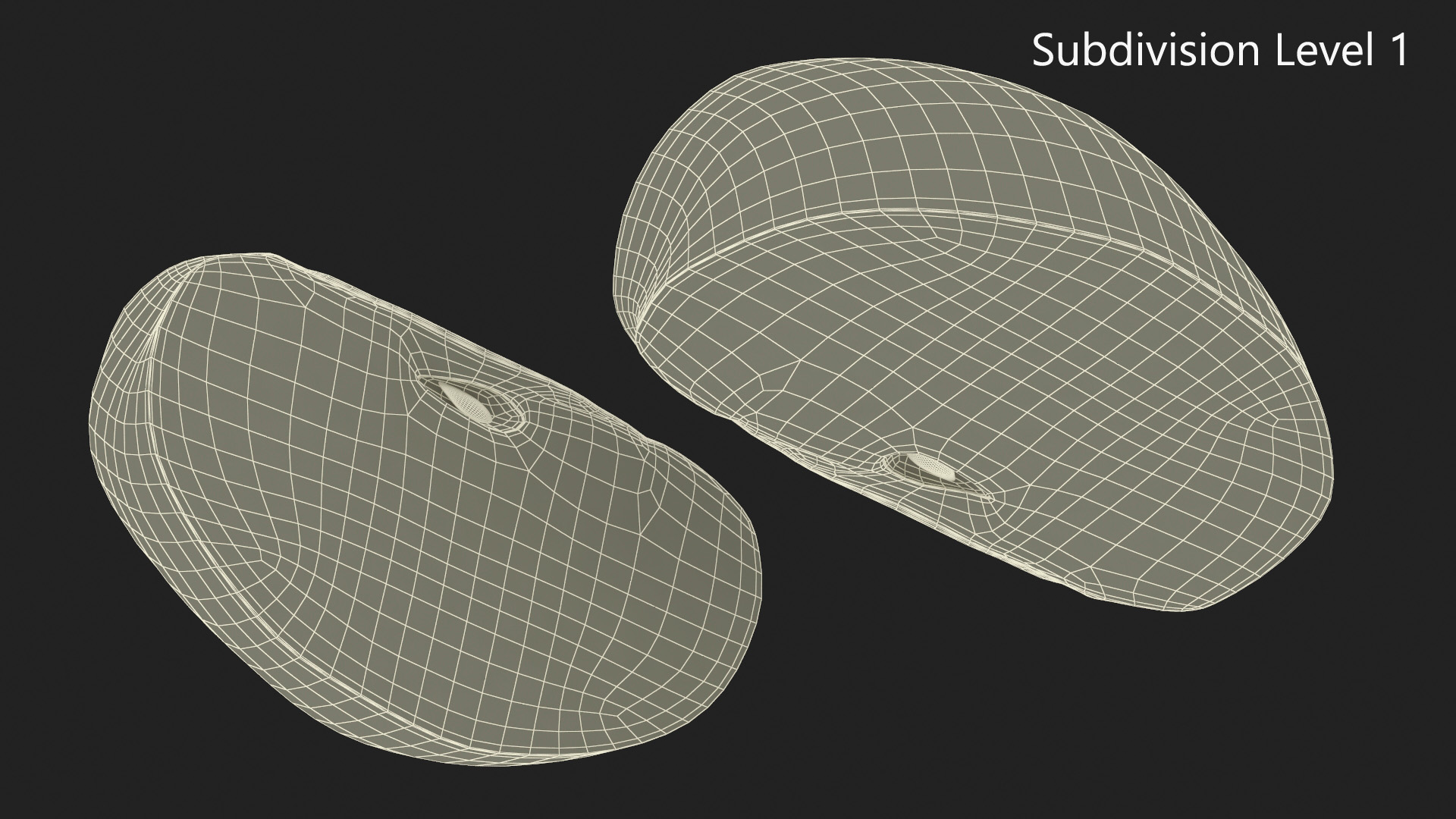 Realistic Green Apple Slice 3D