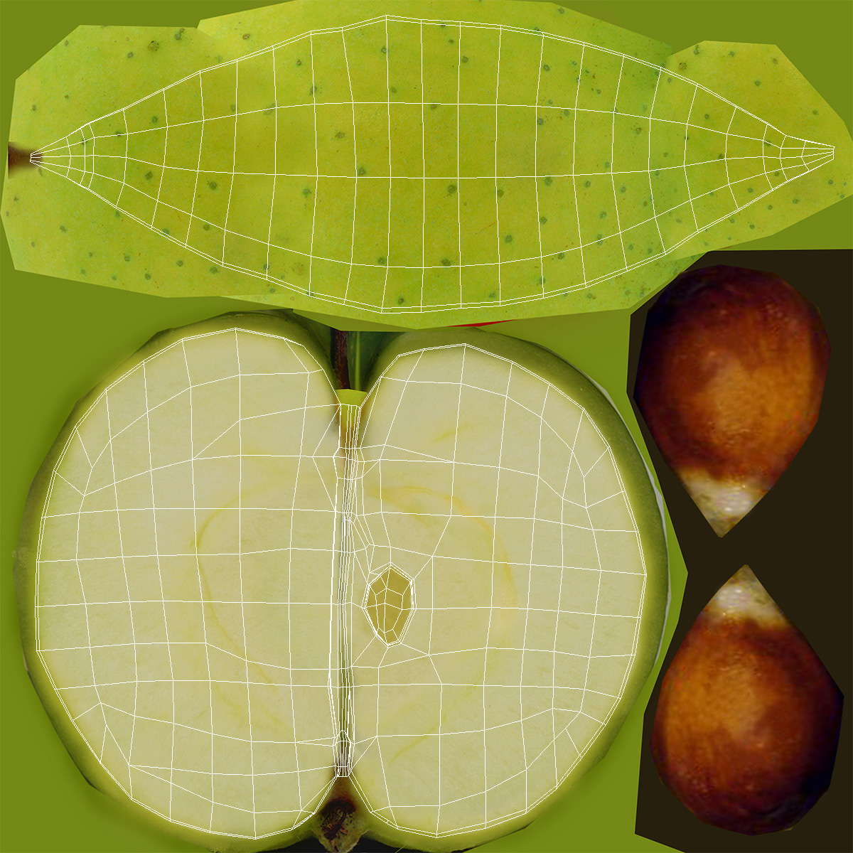 Realistic Green Apple Slice 3D