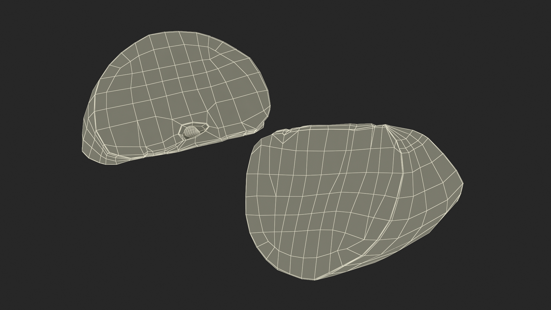 Realistic Green Apple Slice 3D