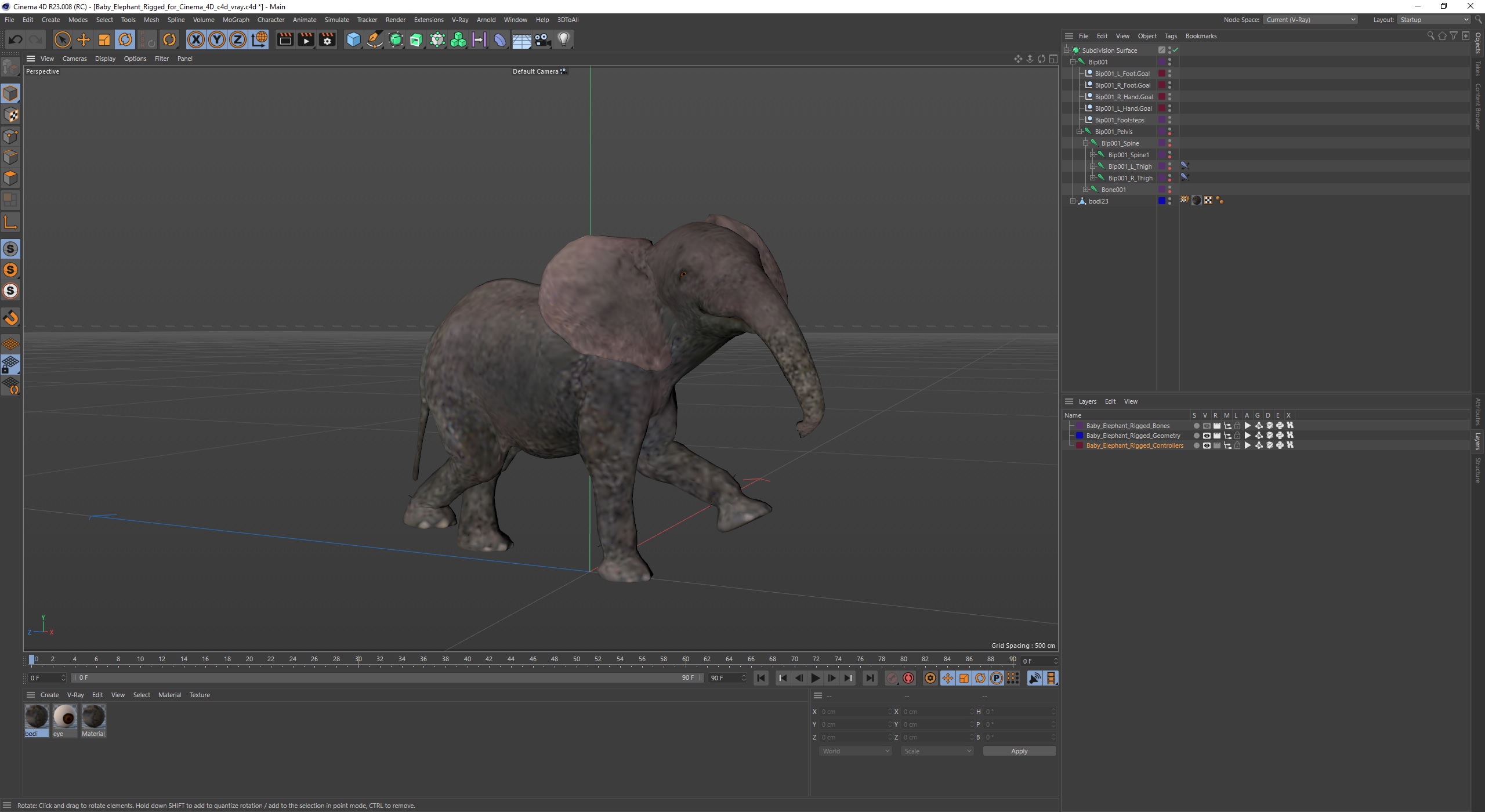 Baby Elephant Rigged for Cinema 4D 3D model