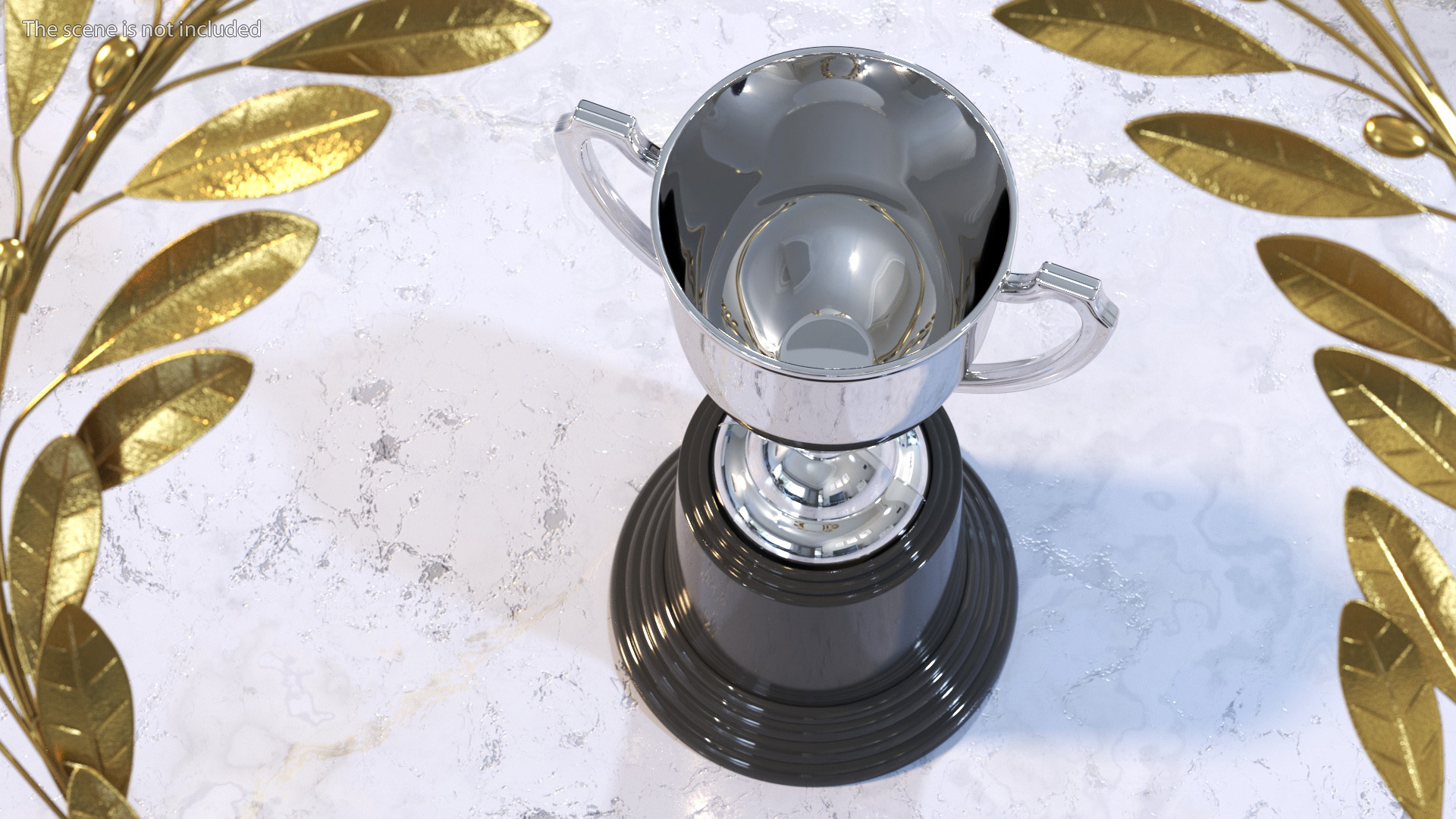 Silver Award 3D