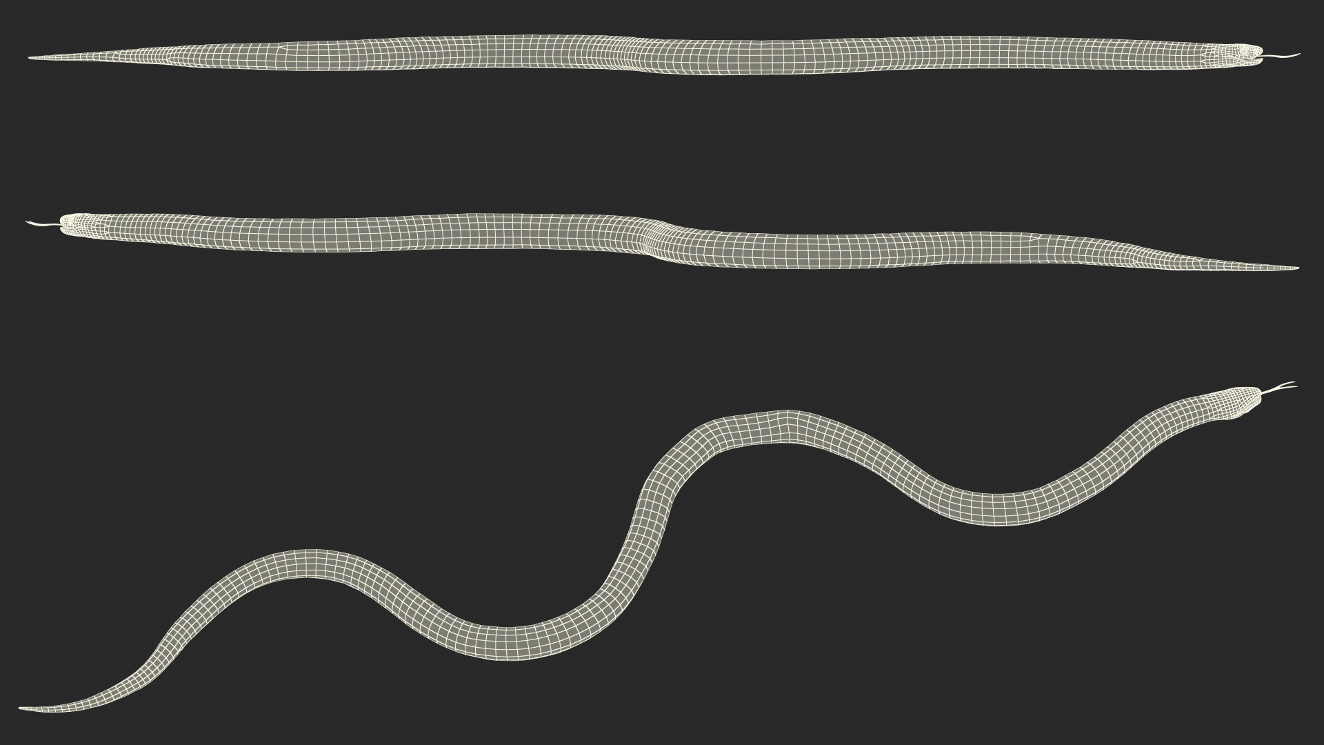 Eastern Kingsnake Rigged 3D model