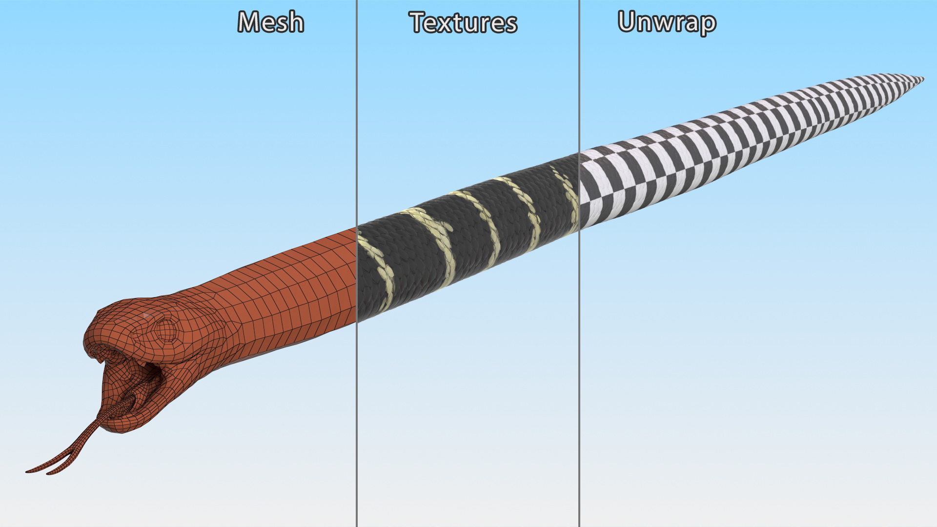 Eastern Kingsnake Rigged 3D model