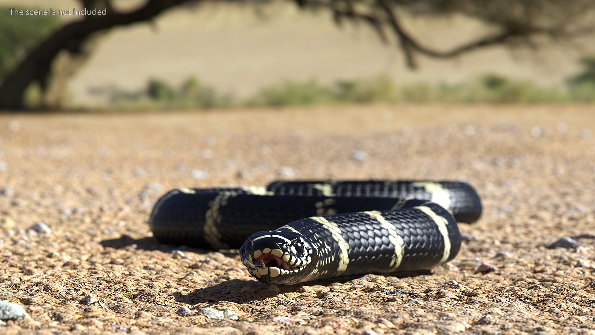 Eastern Kingsnake Rigged 3D model