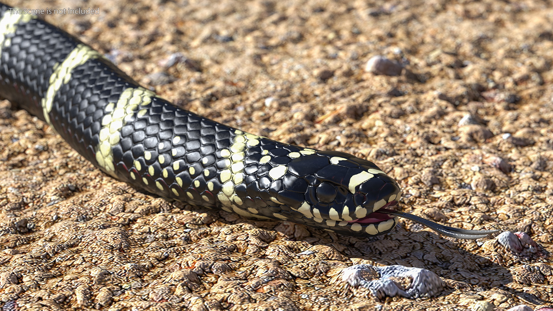 Eastern Kingsnake Rigged 3D model