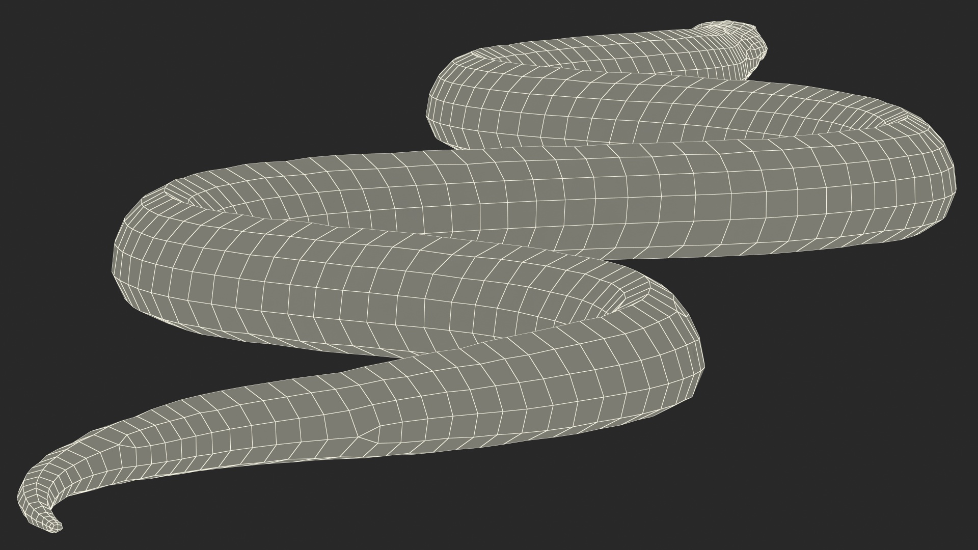 Eastern Kingsnake Rigged 3D model