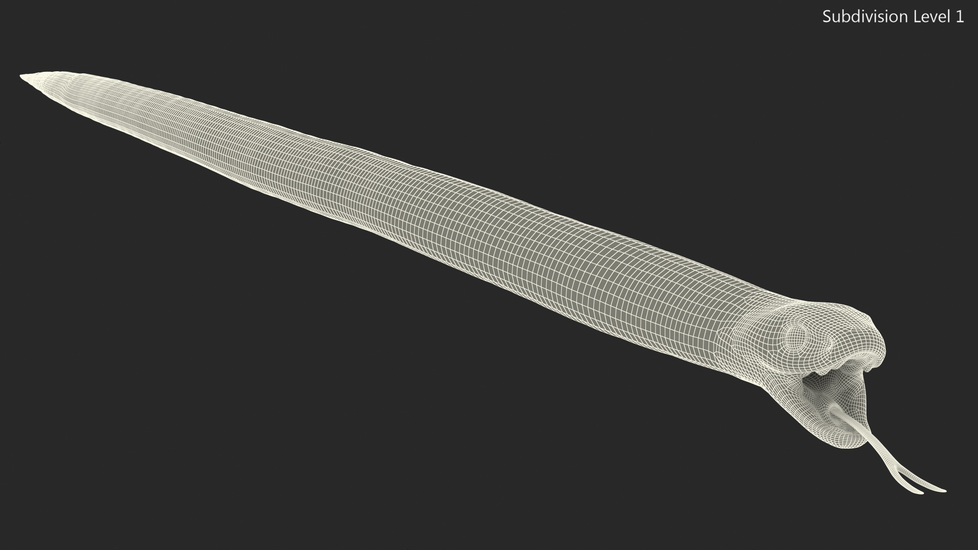 Eastern Kingsnake Rigged 3D model