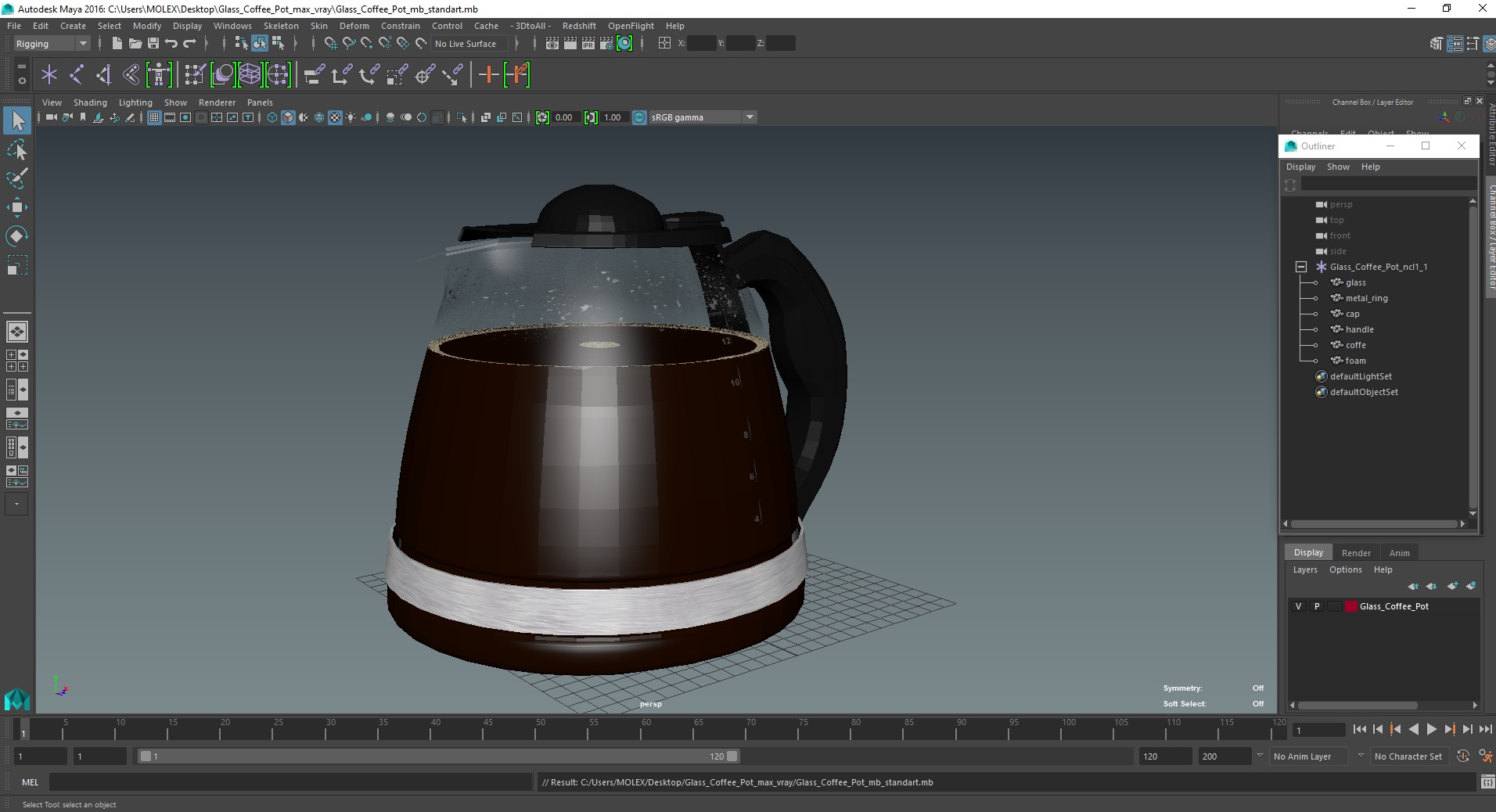 3D Glass Coffee Pot