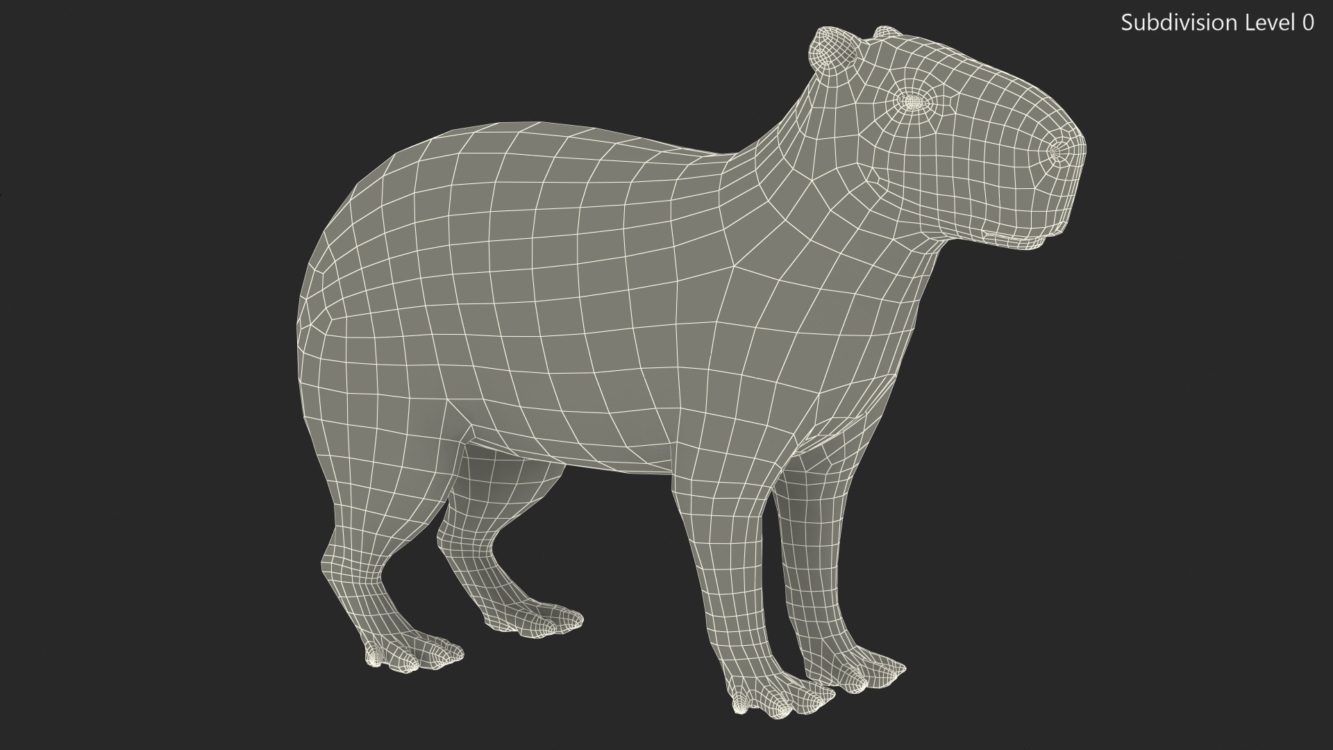 Capybara Fur 3D