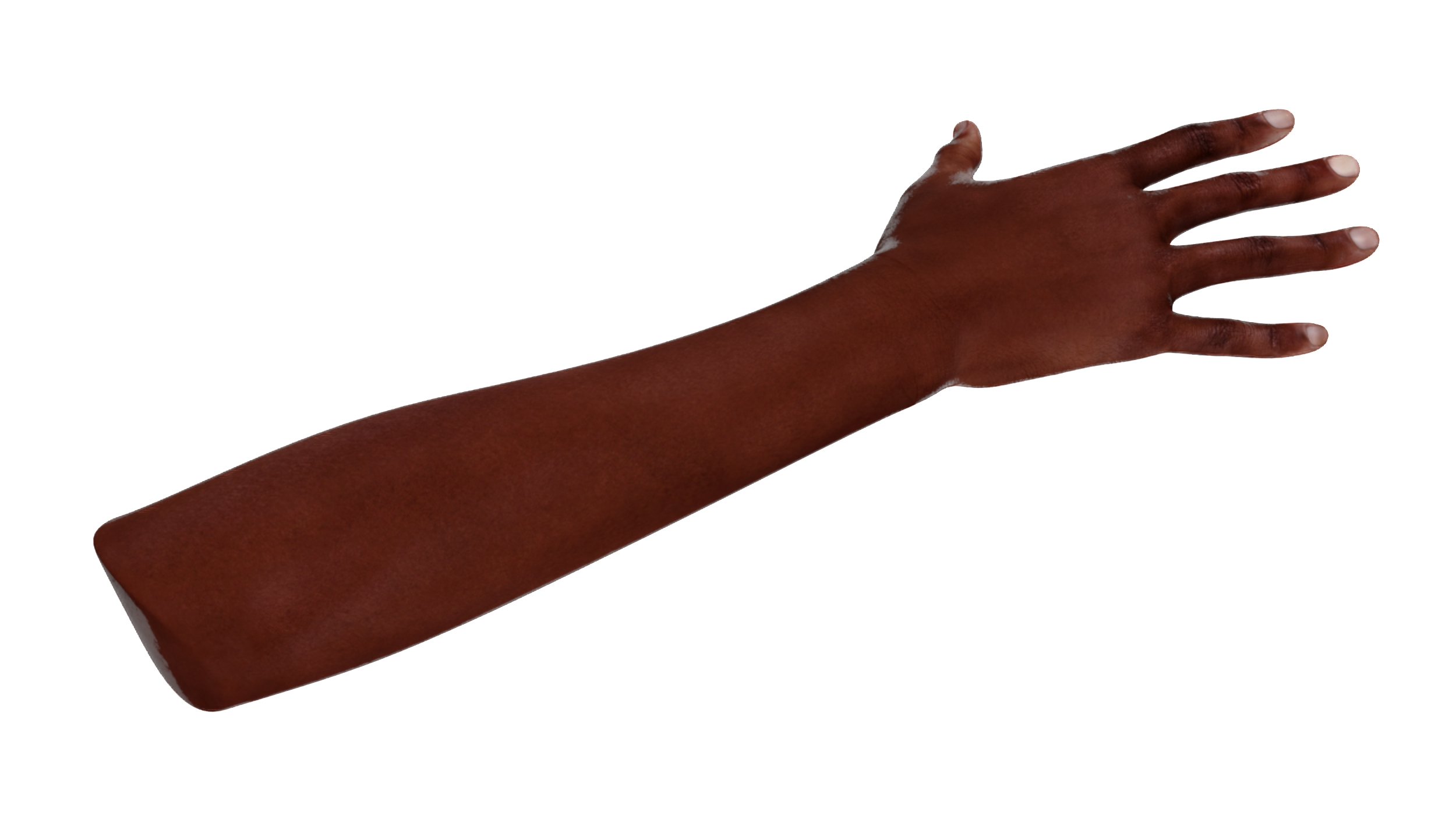 3D Dark Skinned Woman Hands Rigged