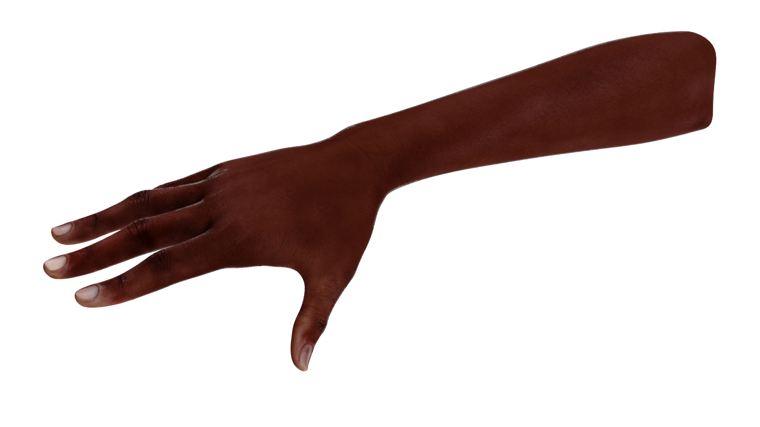 3D Dark Skinned Woman Hands Rigged