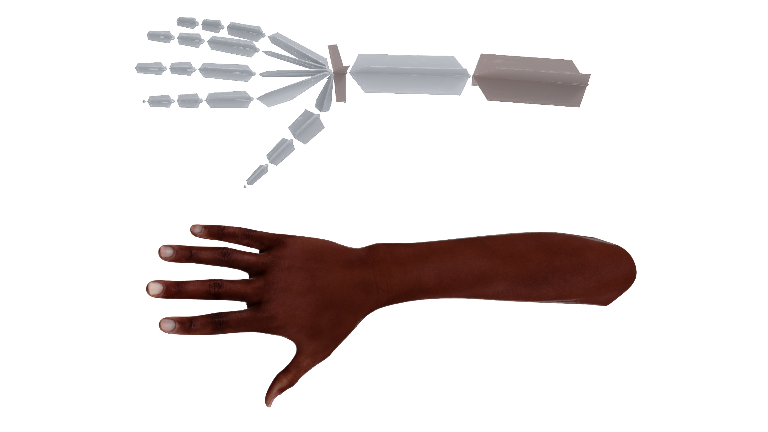 3D Dark Skinned Woman Hands Rigged