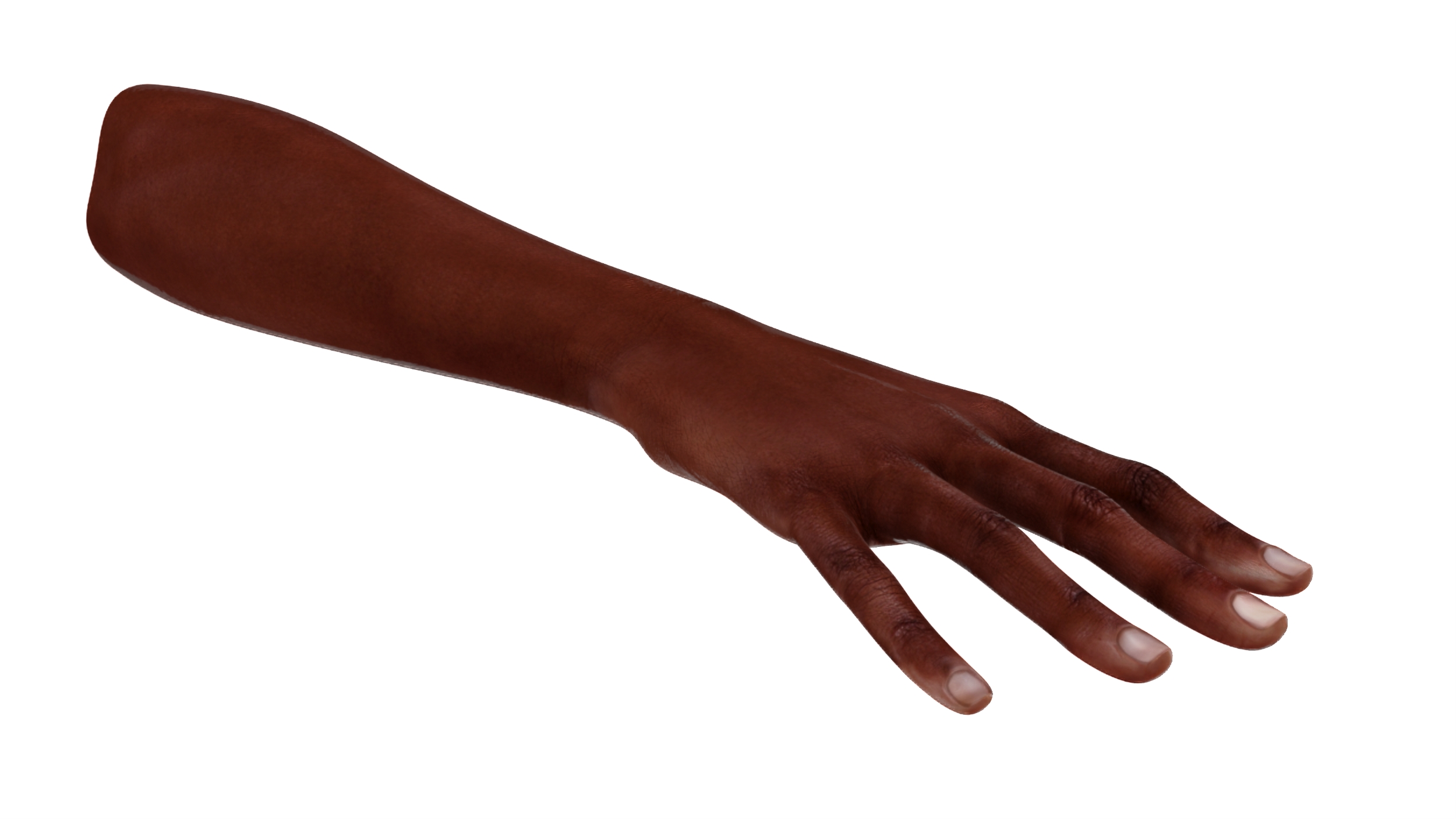 3D Dark Skinned Woman Hands Rigged