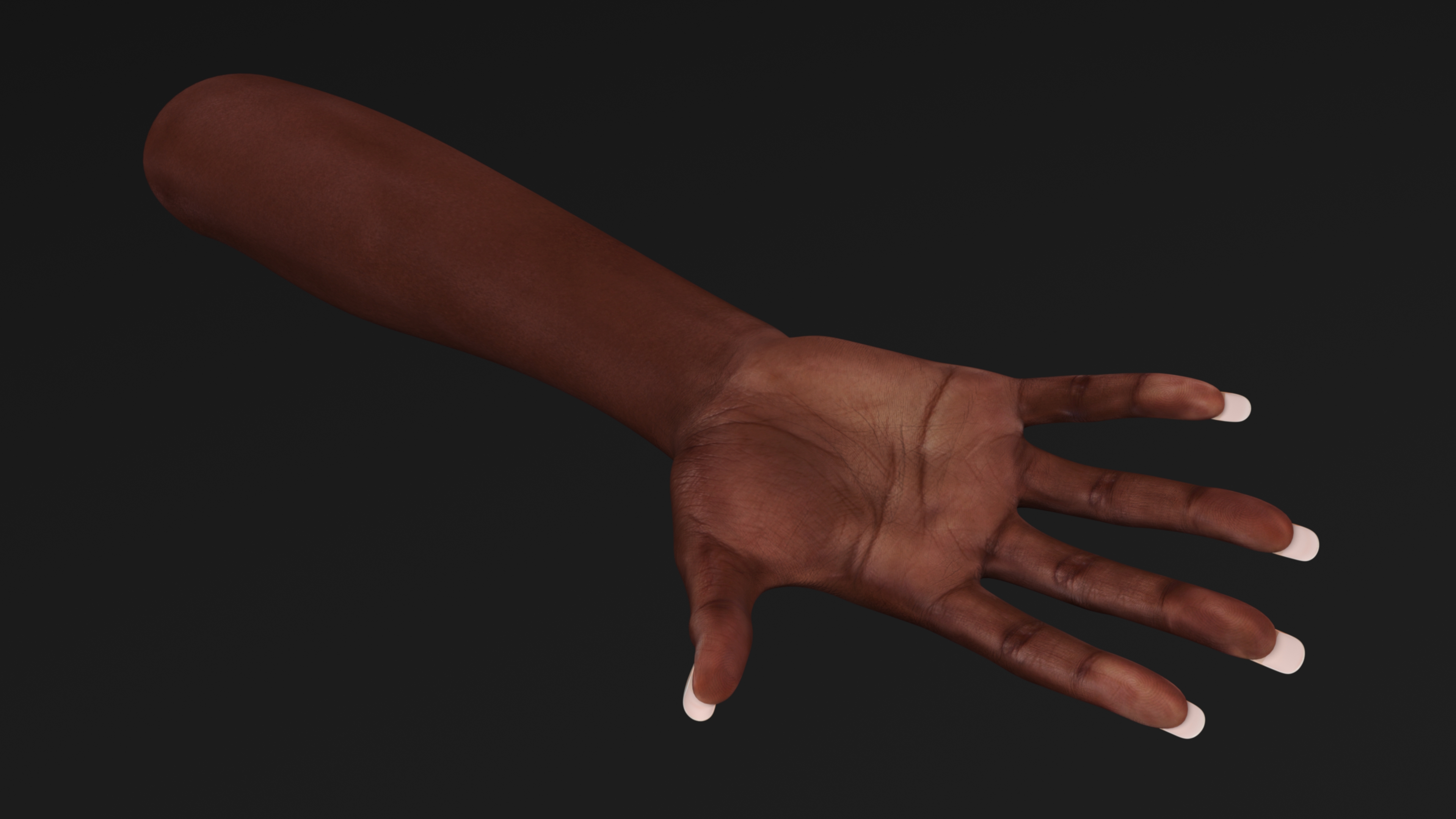 3D Dark Skinned Woman Hands Rigged