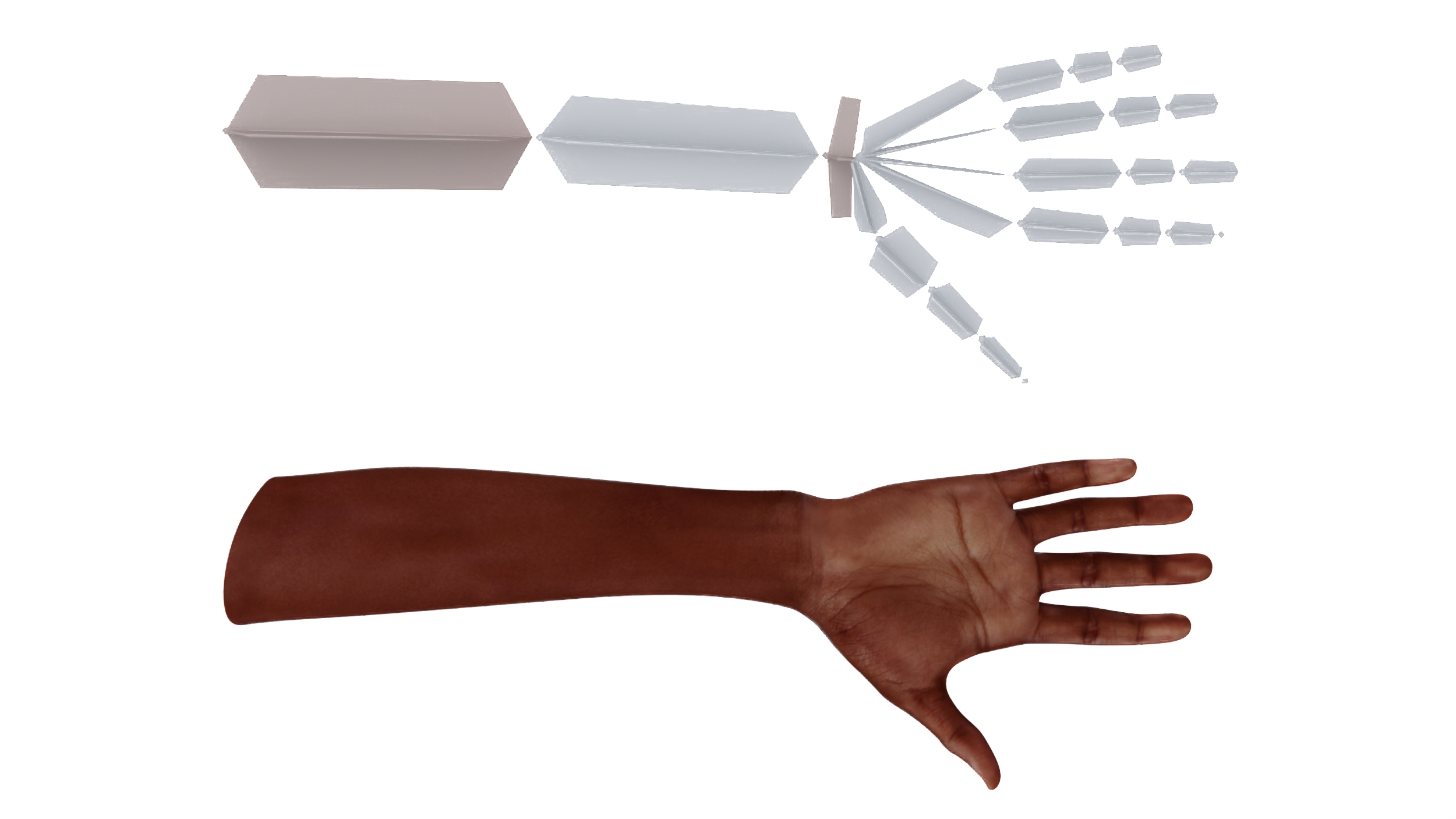 3D Dark Skinned Woman Hands Rigged