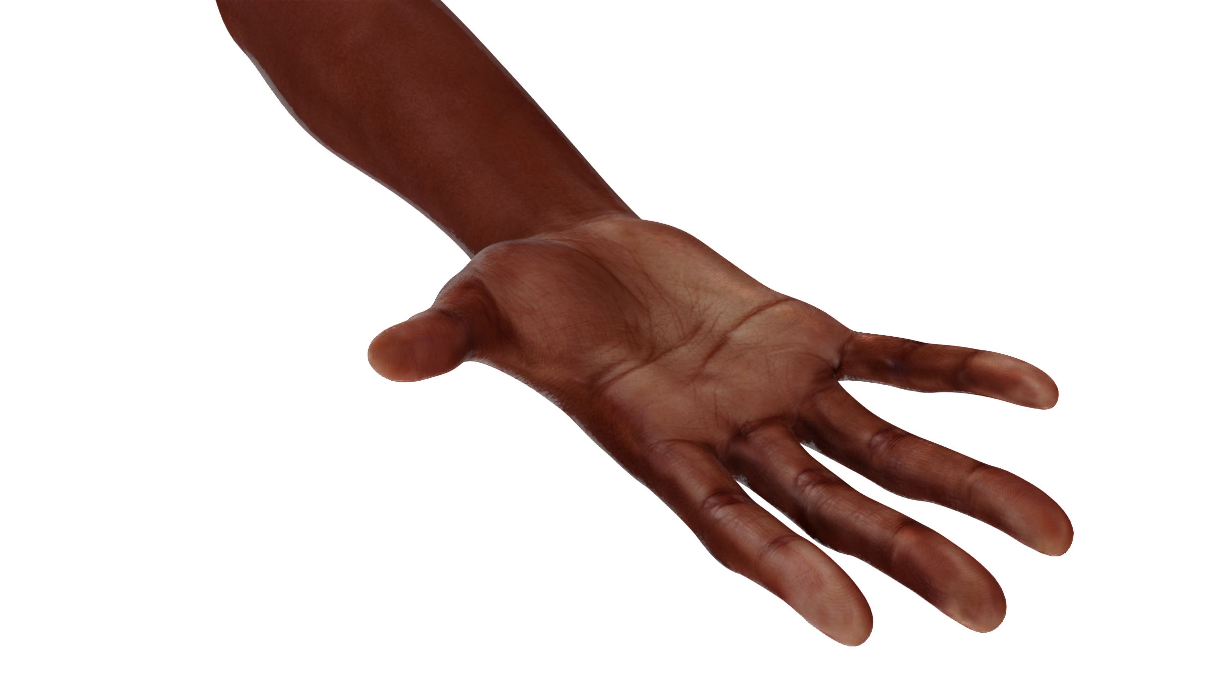 3D Dark Skinned Woman Hands Rigged