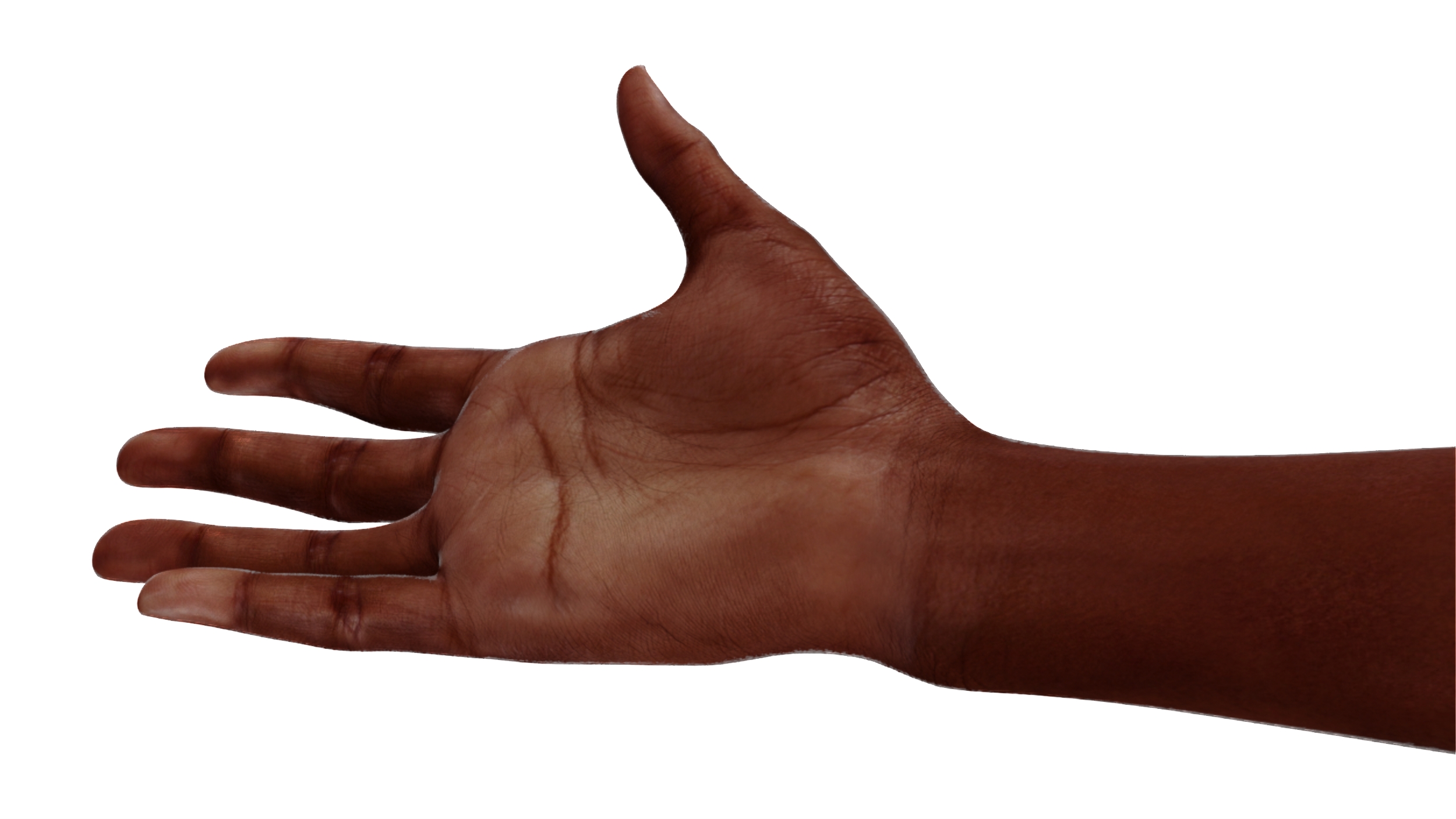 3D Dark Skinned Woman Hands Rigged