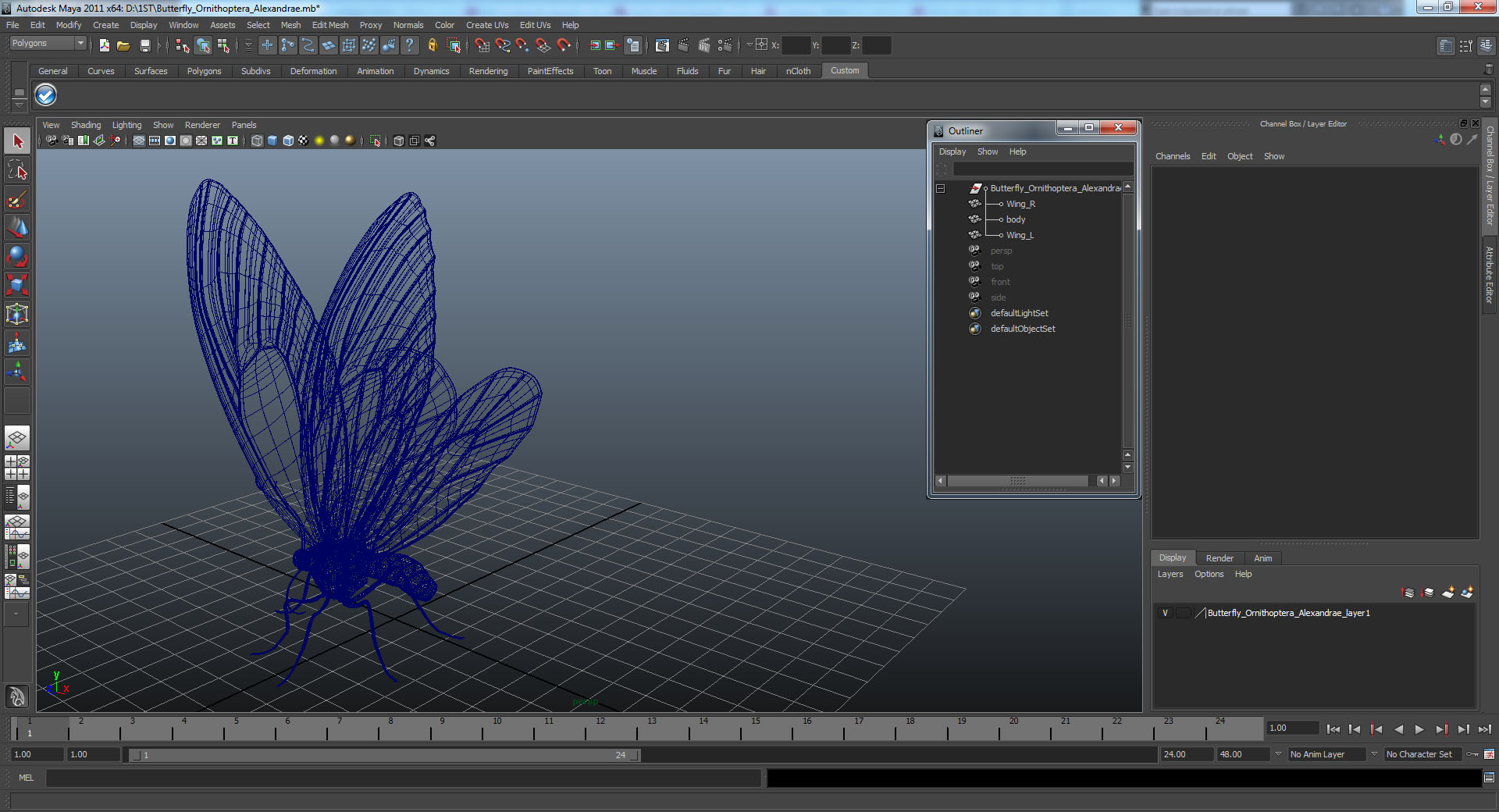 3D Butterfly Ornithoptera Alexandrae model