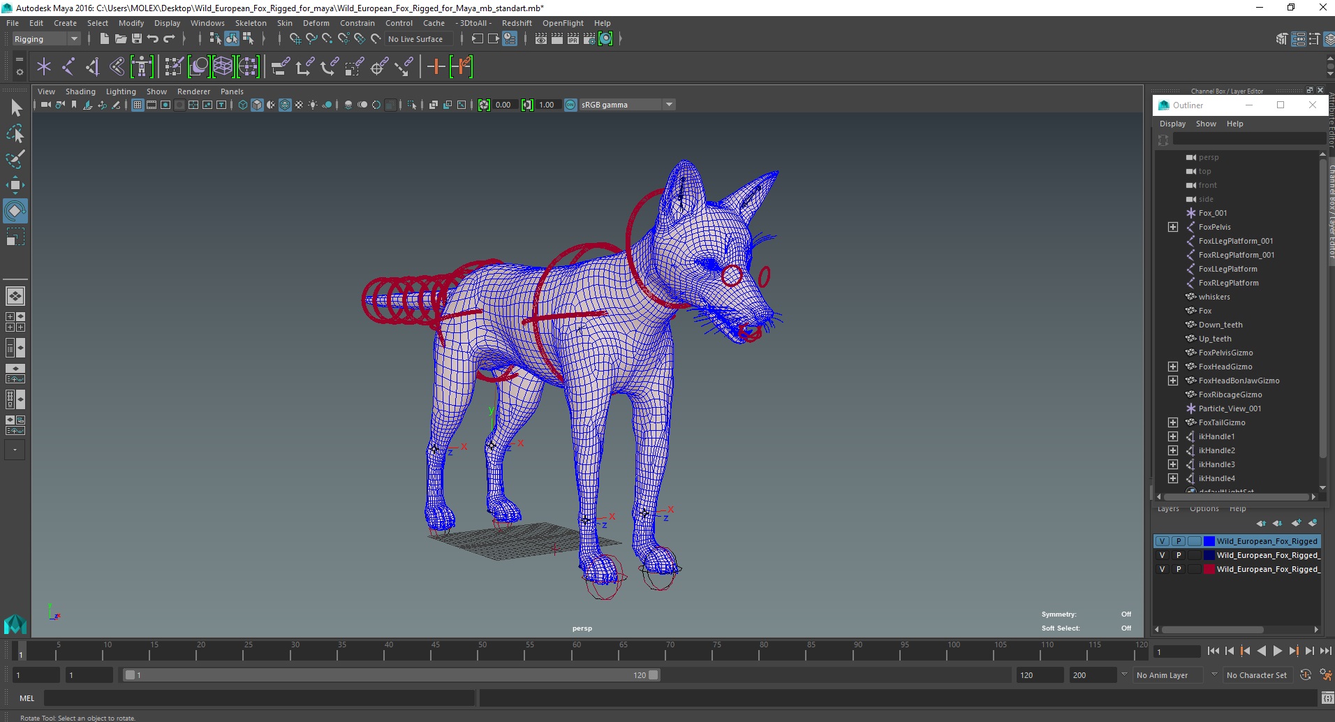 3D Wild European Fox Rigged for Maya model