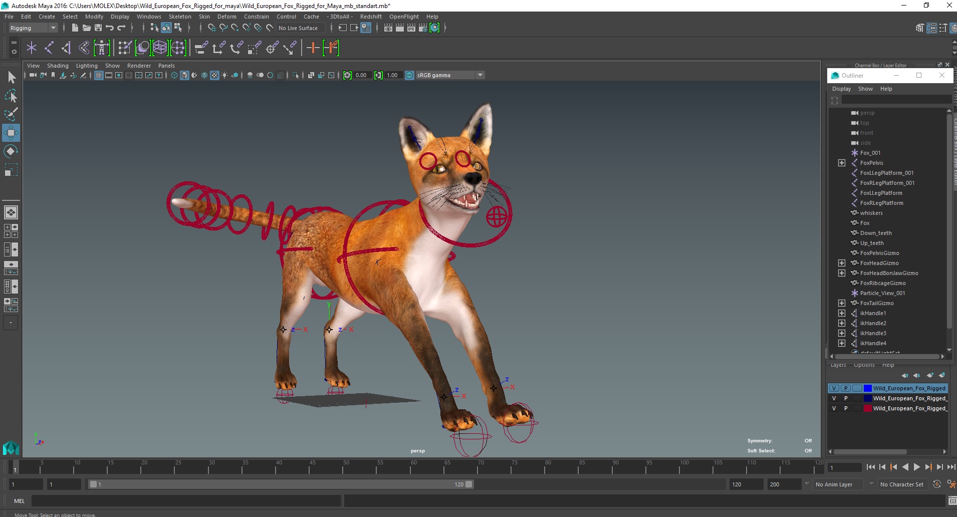 3D Wild European Fox Rigged for Maya model