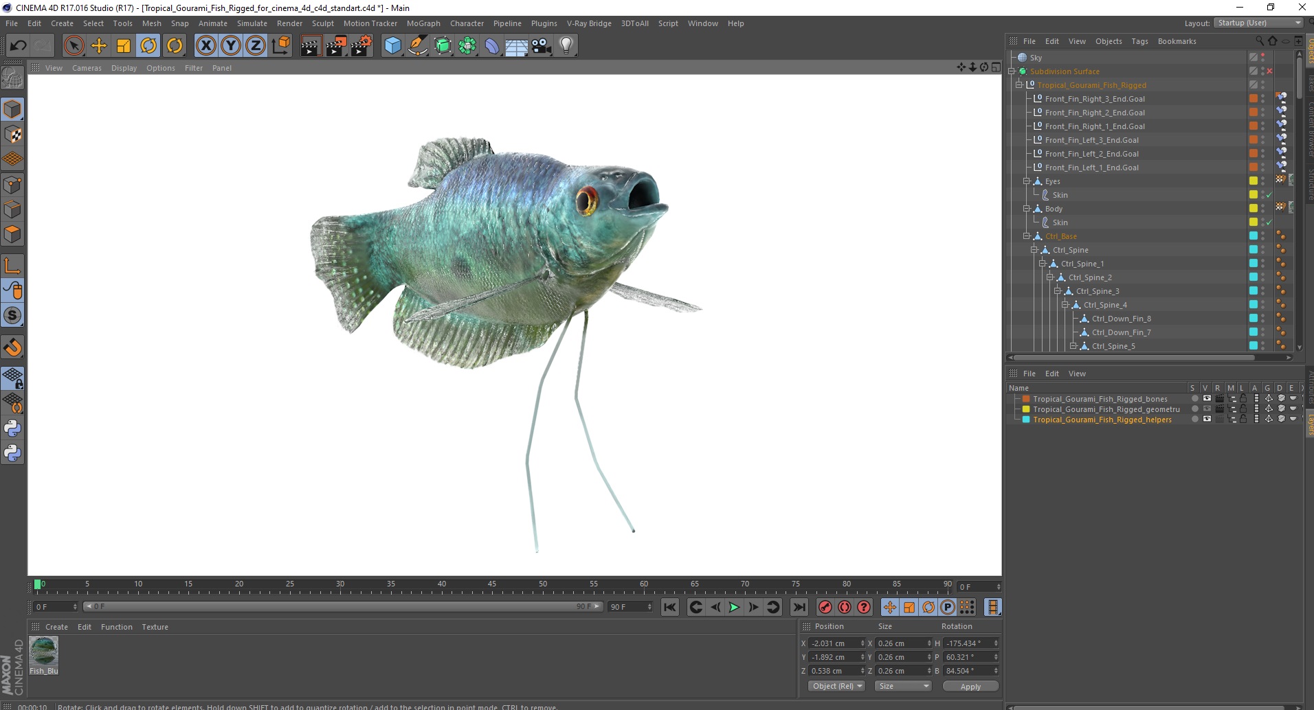 Tropical Gourami Fish Rigged for Cinema 4D 3D