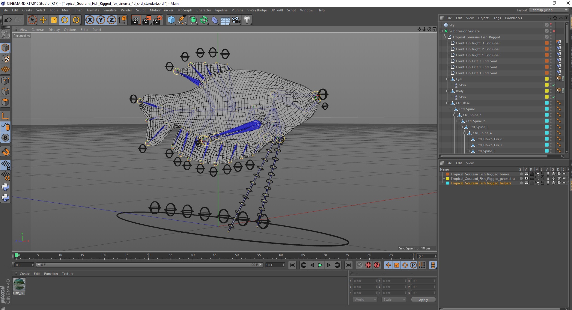 Tropical Gourami Fish Rigged for Cinema 4D 3D