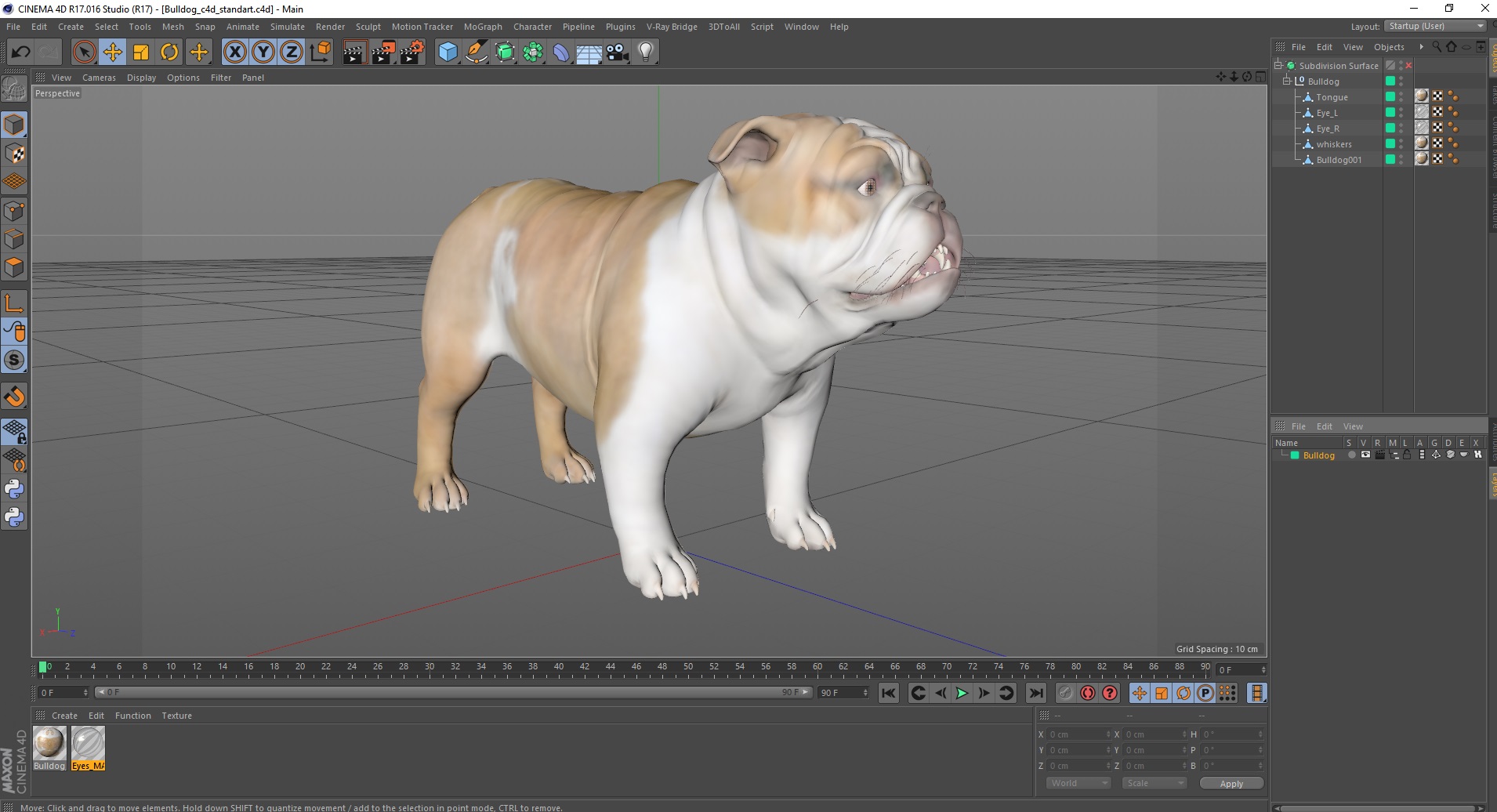 Bulldog 3D model