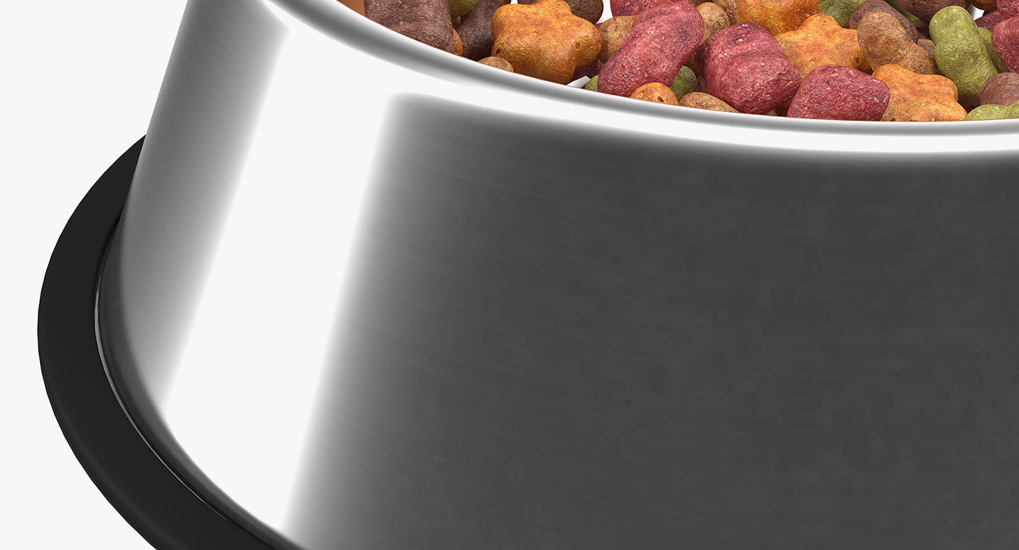 Dry Pet Food Bowl 3D